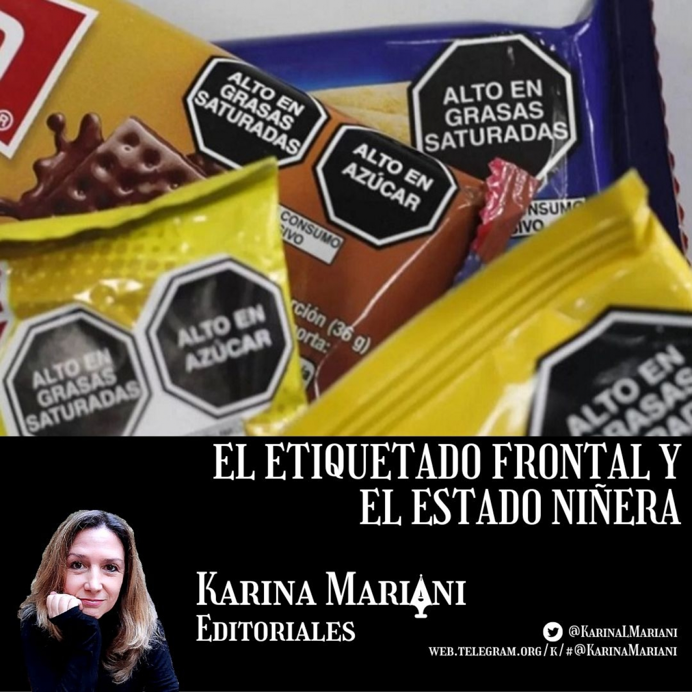 Karina Mariani Editoriales