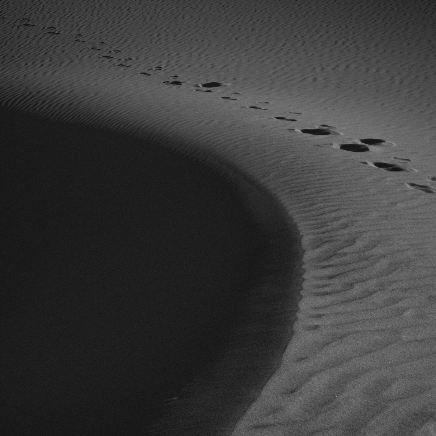 Melodías o Melocuentas