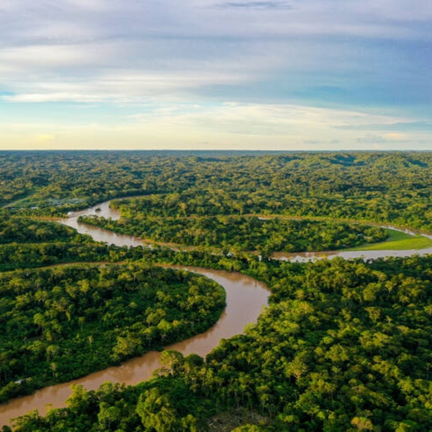 1036 - El misterio del Manuscrito 512 y las ciudades perdidas en la Amazonia - Episodio exclusivo para mecenas