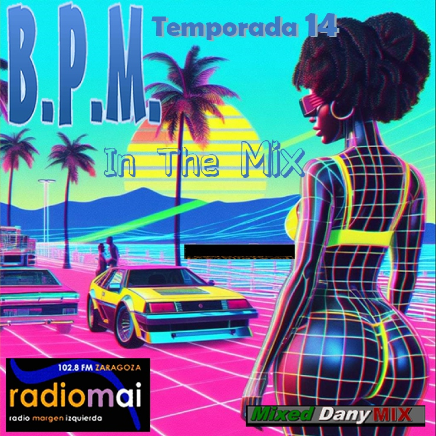 BPM Radio Project