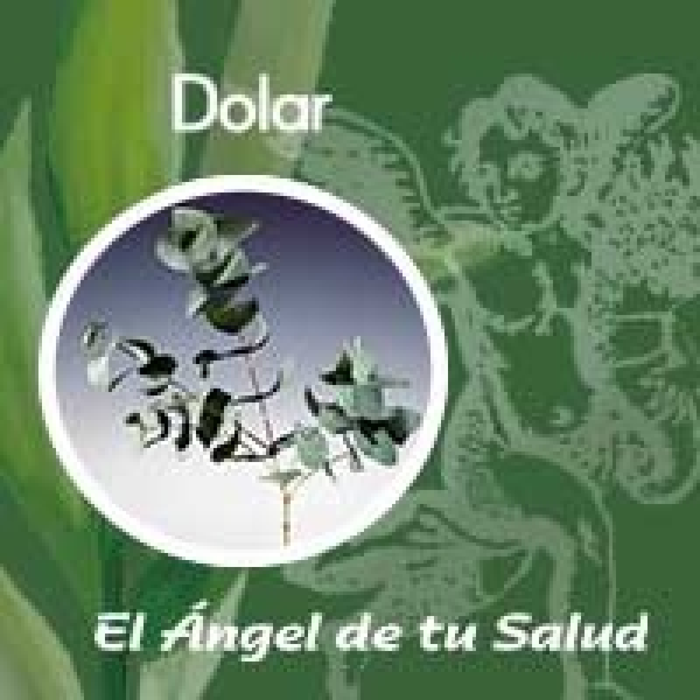 El Ángel de tu Salud - Dolar** episode artwork