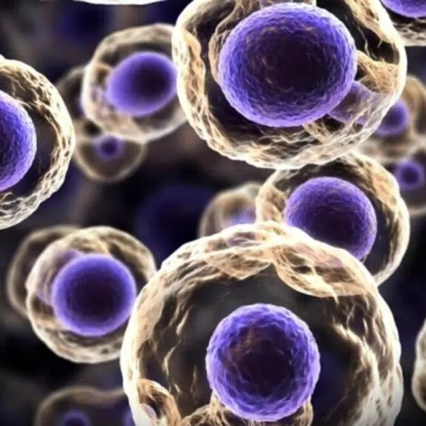 La BioZona