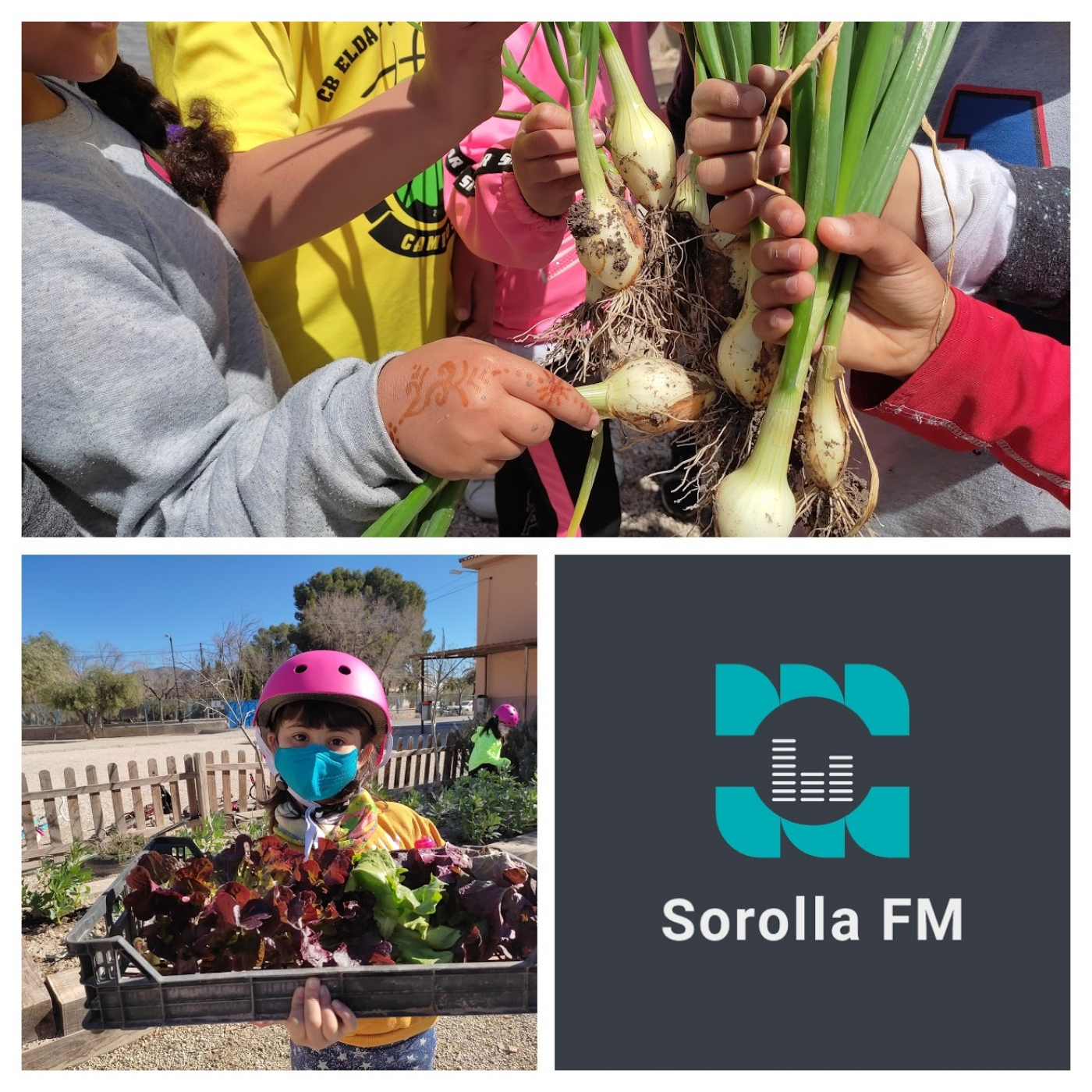 RADIO ESCOLAR SOROLLA FM