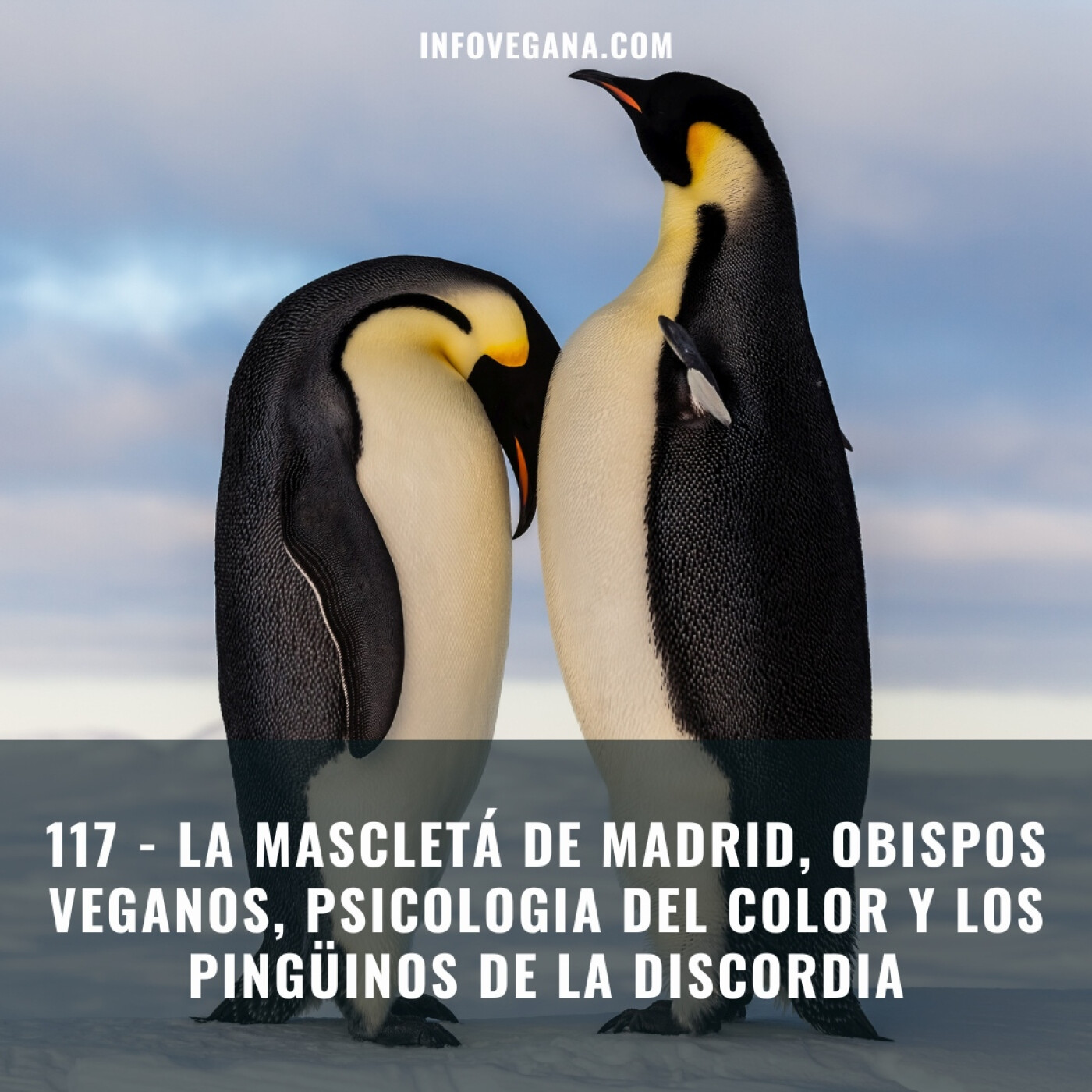 Infovegana, podcast de veganismo y sostenibilidad