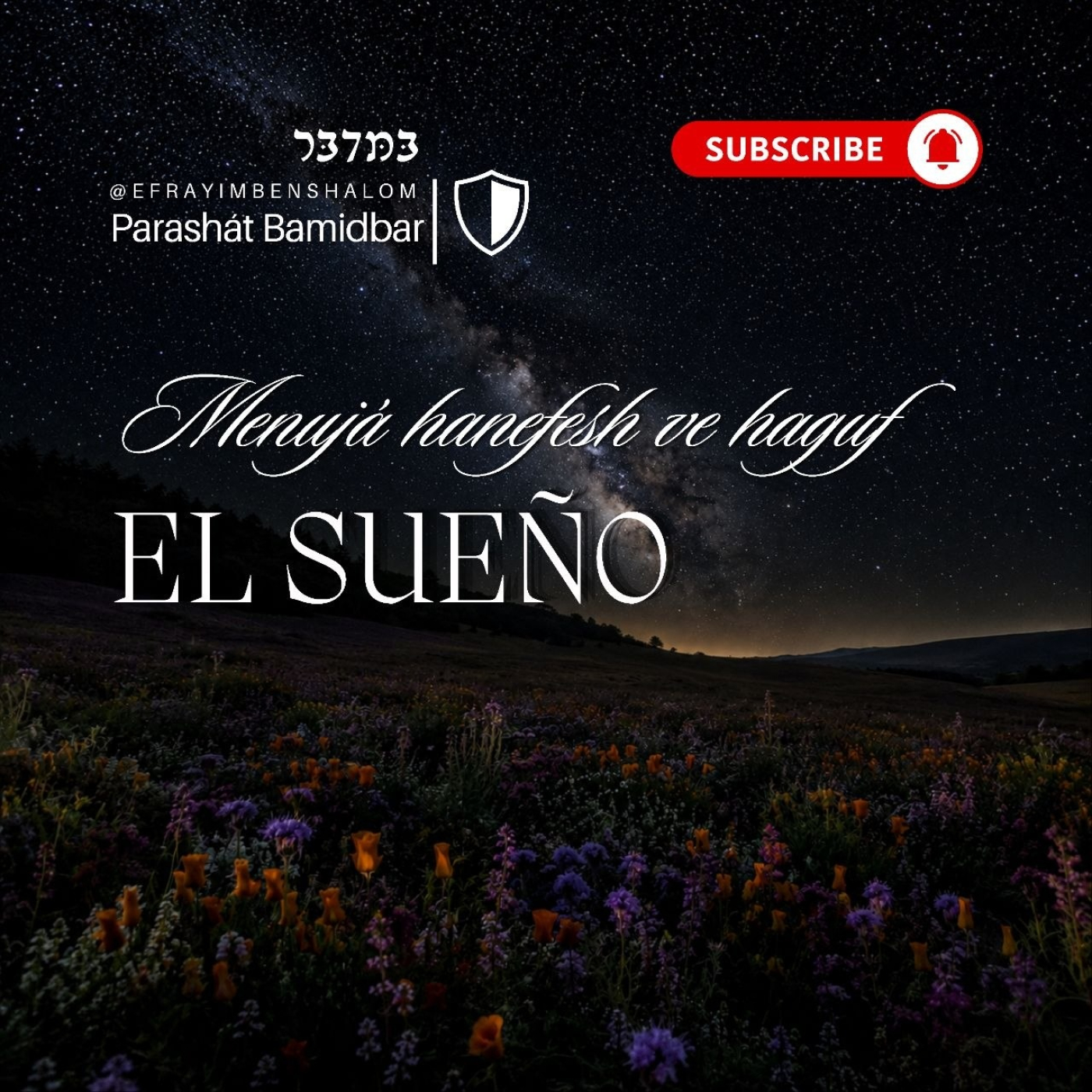 Reflexión de la Parashat Bamidbar 5786. episode artwork