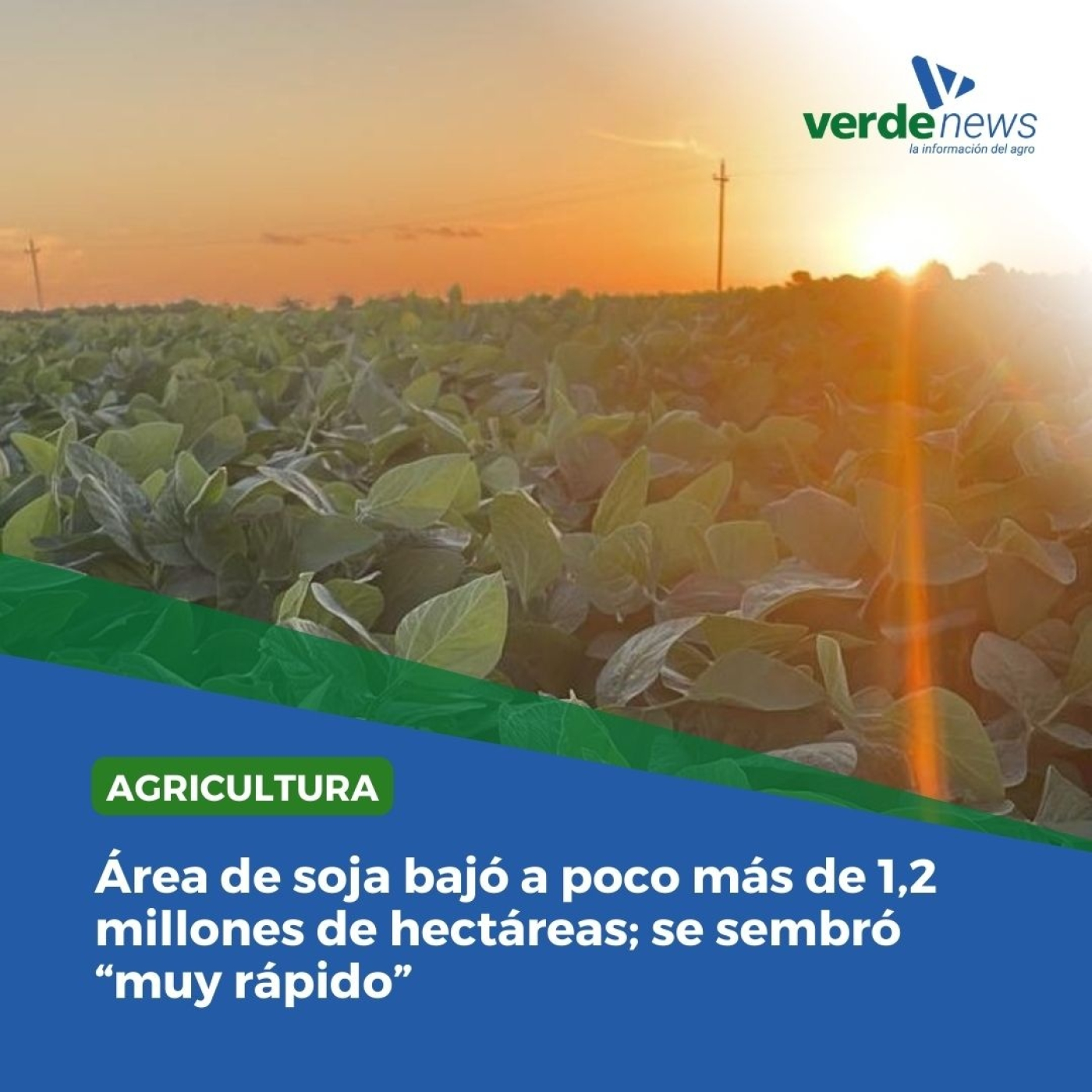 verdemedia
