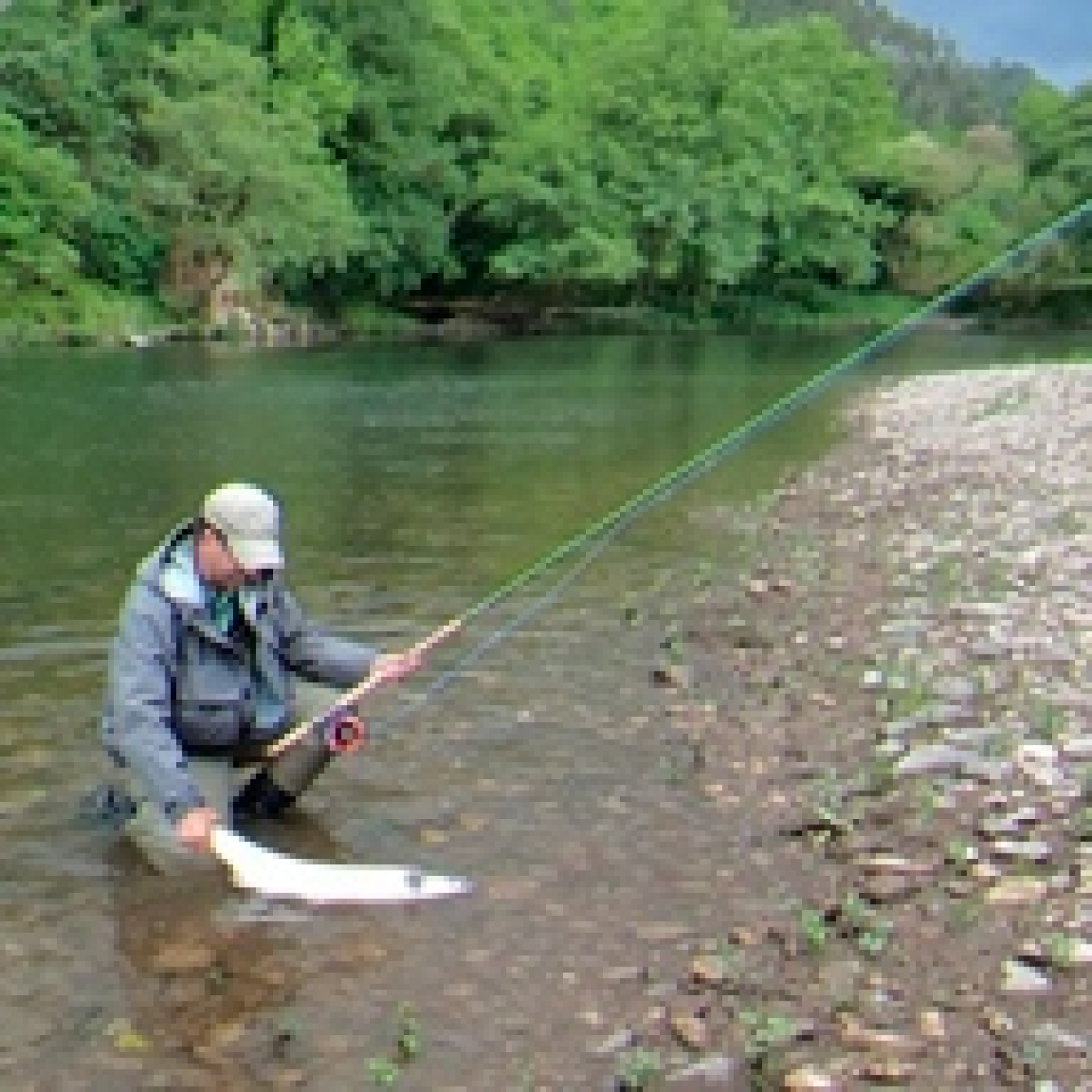 Rio de la Vida pesca