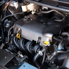 embed image