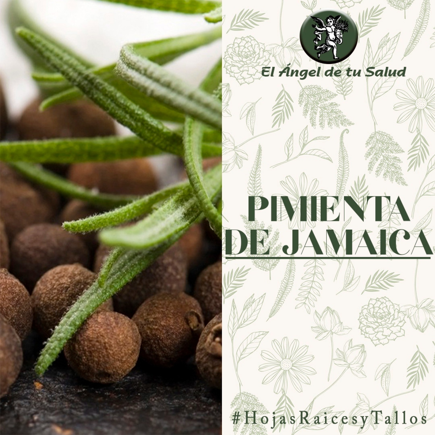 El Ángel de tu Salud - Pimienta de Jamaica** episode artwork