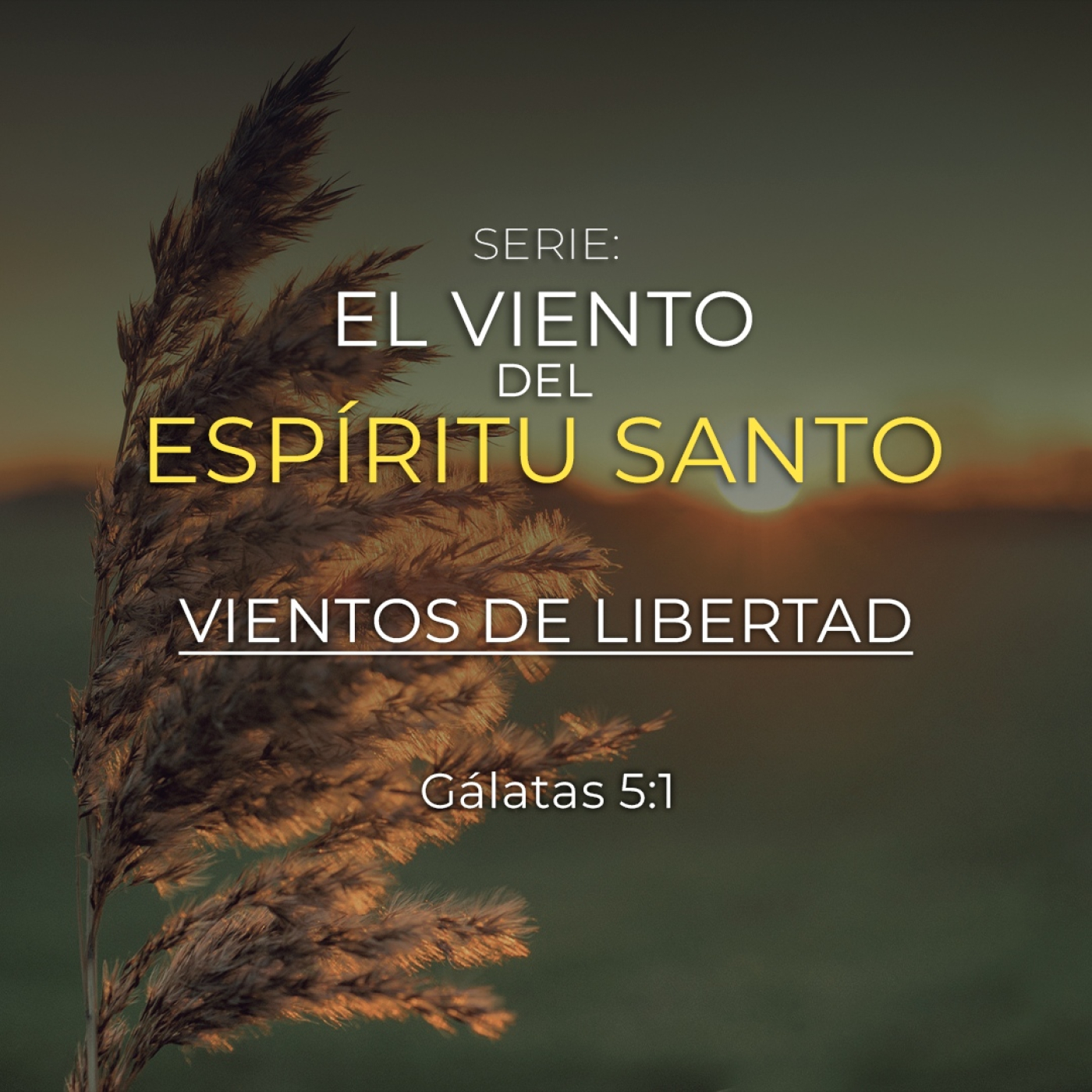 Prédicas