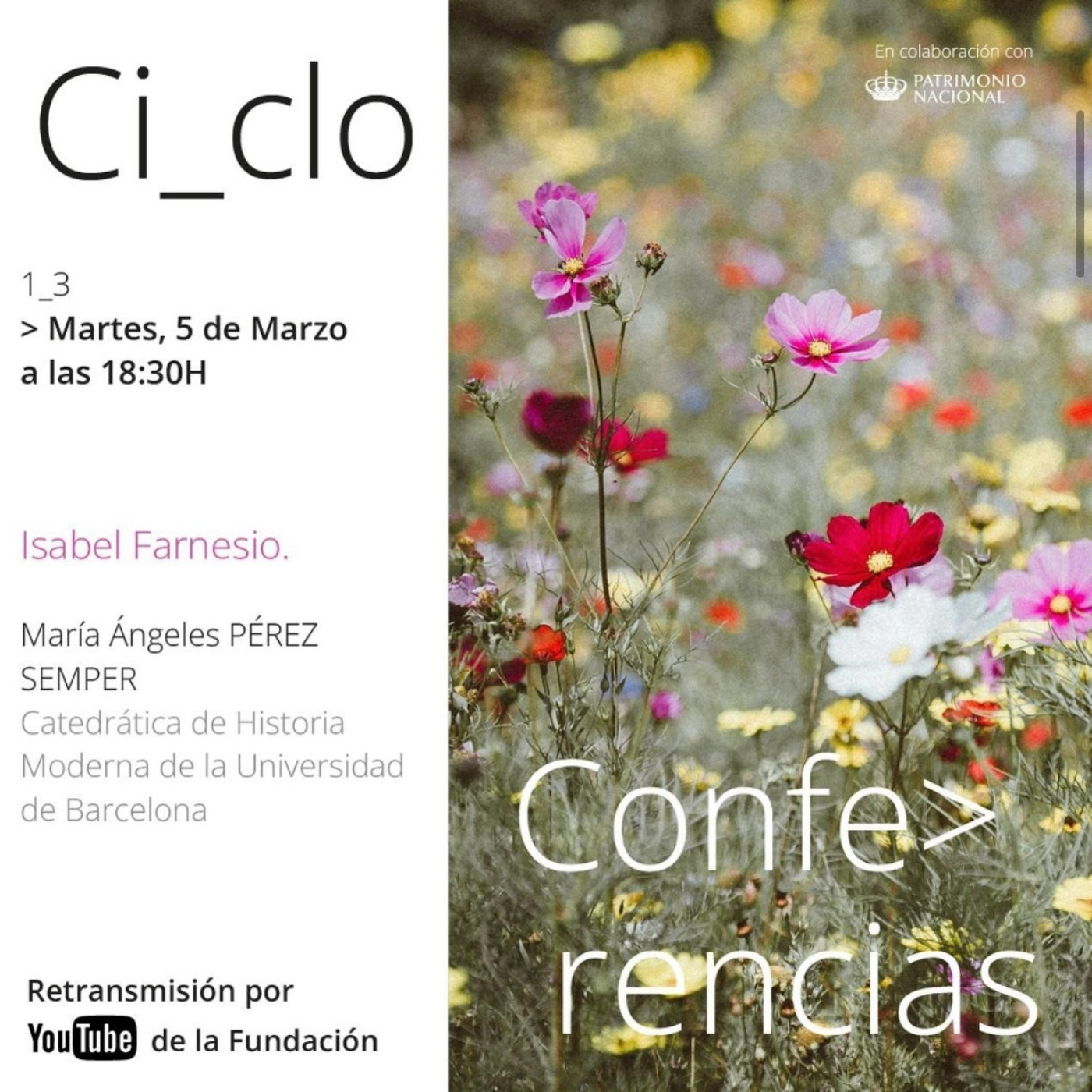 Conferencias