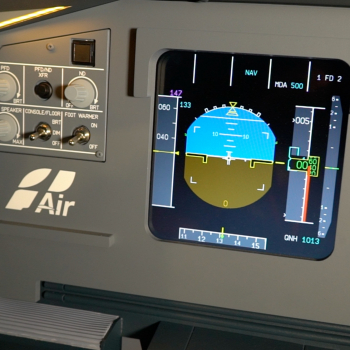 embed image