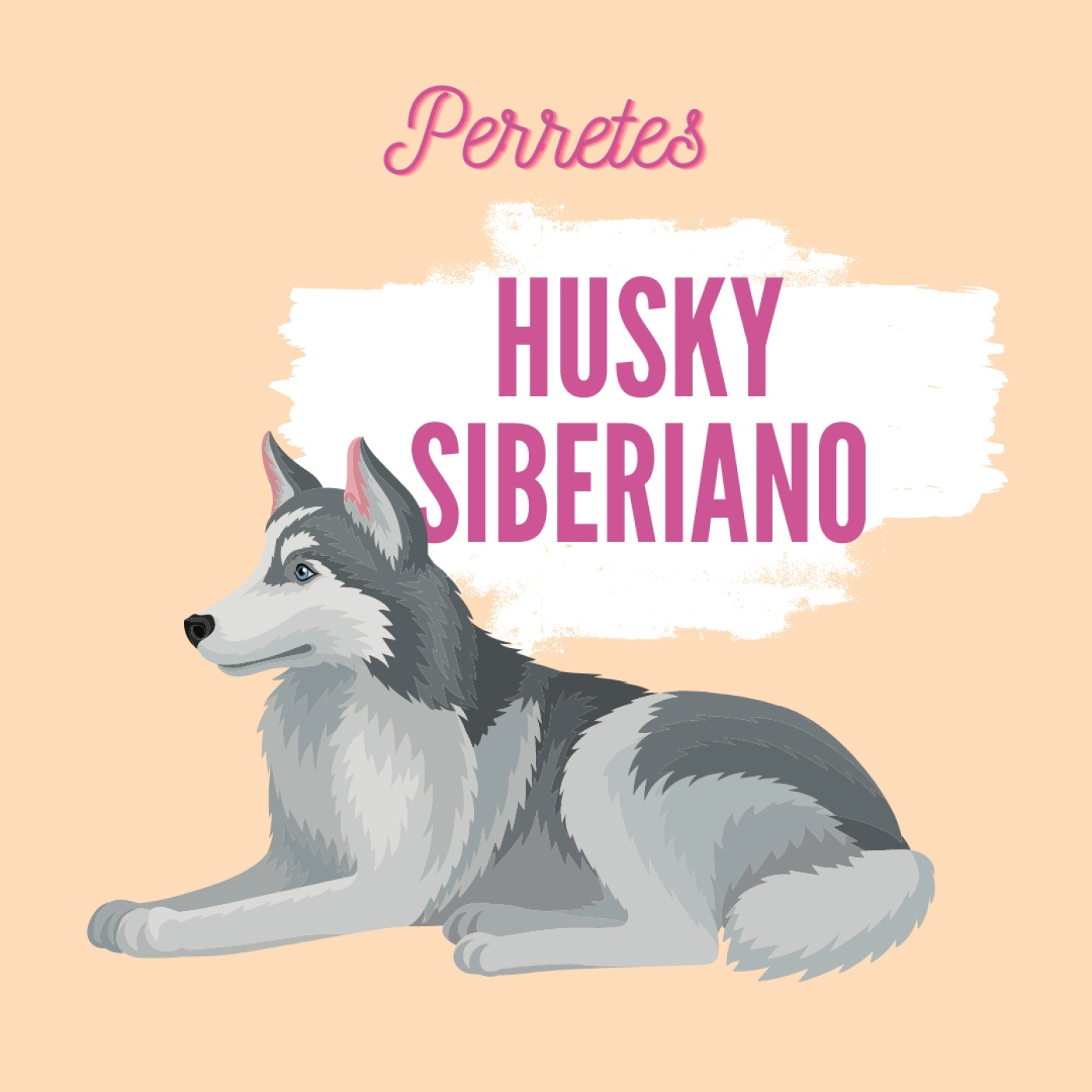 Perretes | Las razas de perros