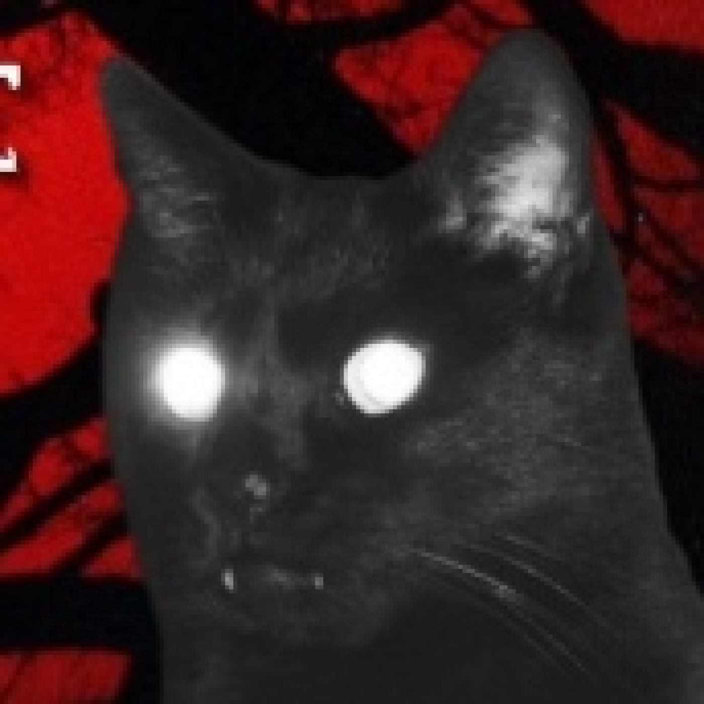 Relatos de terror Macabra Visión