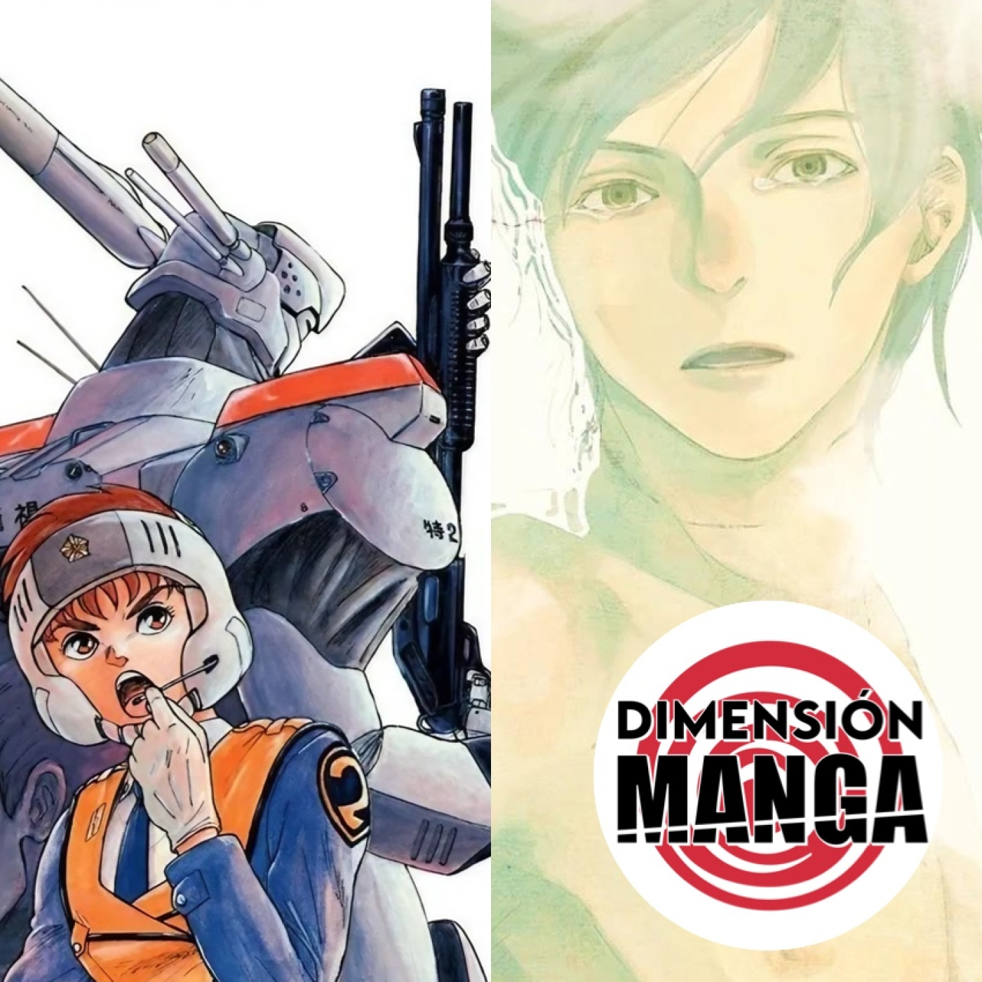 Dimensión Manga