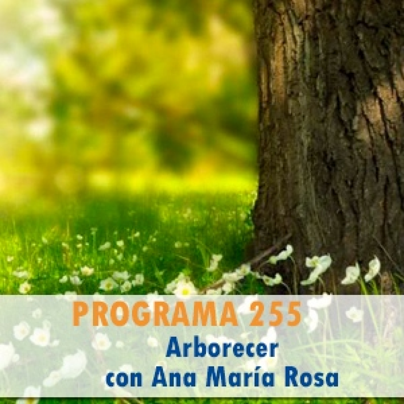 El Rincón de la Educación Infantil - AMEI-WAECE