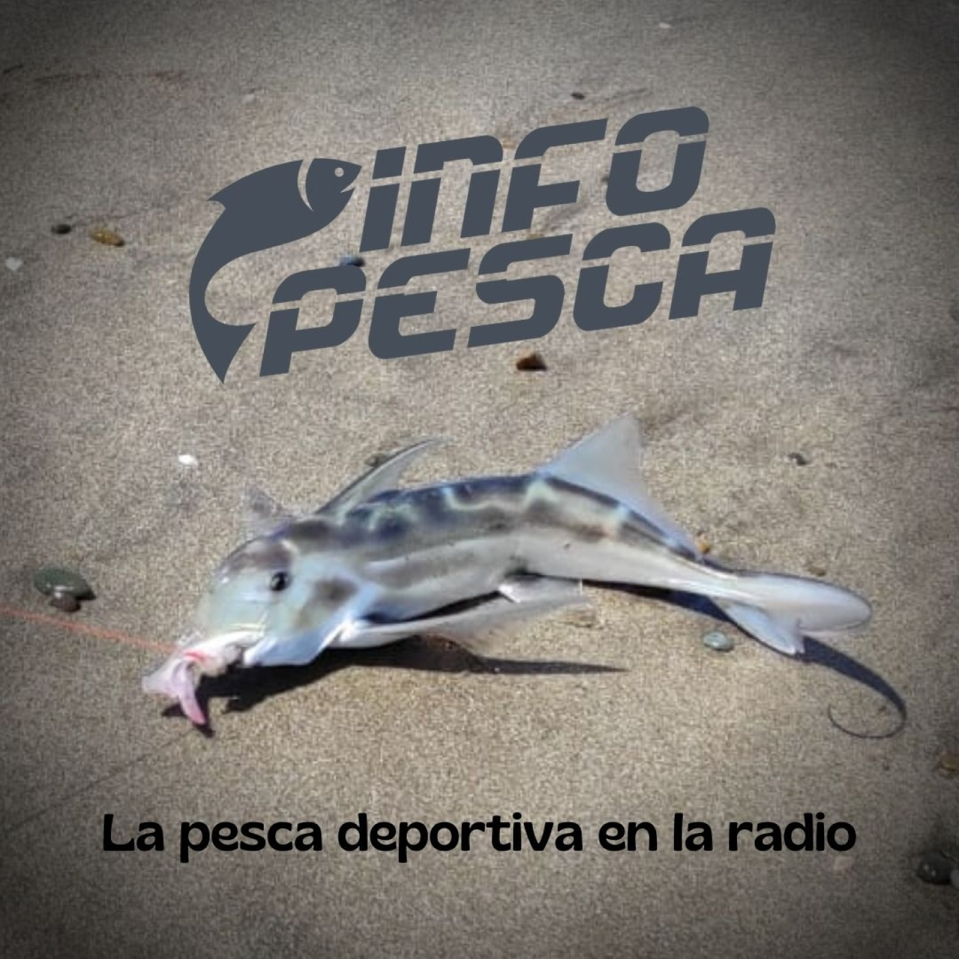INFOPESCA MDQ
