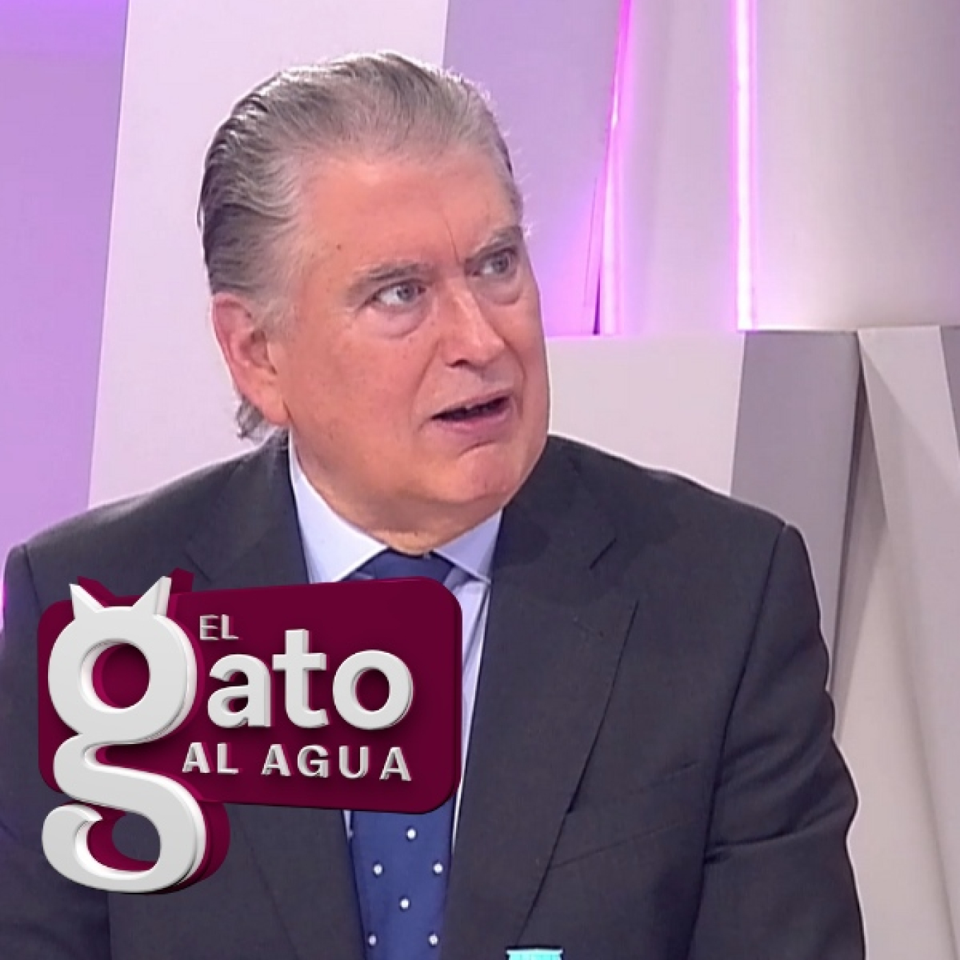 El Gato al agua
