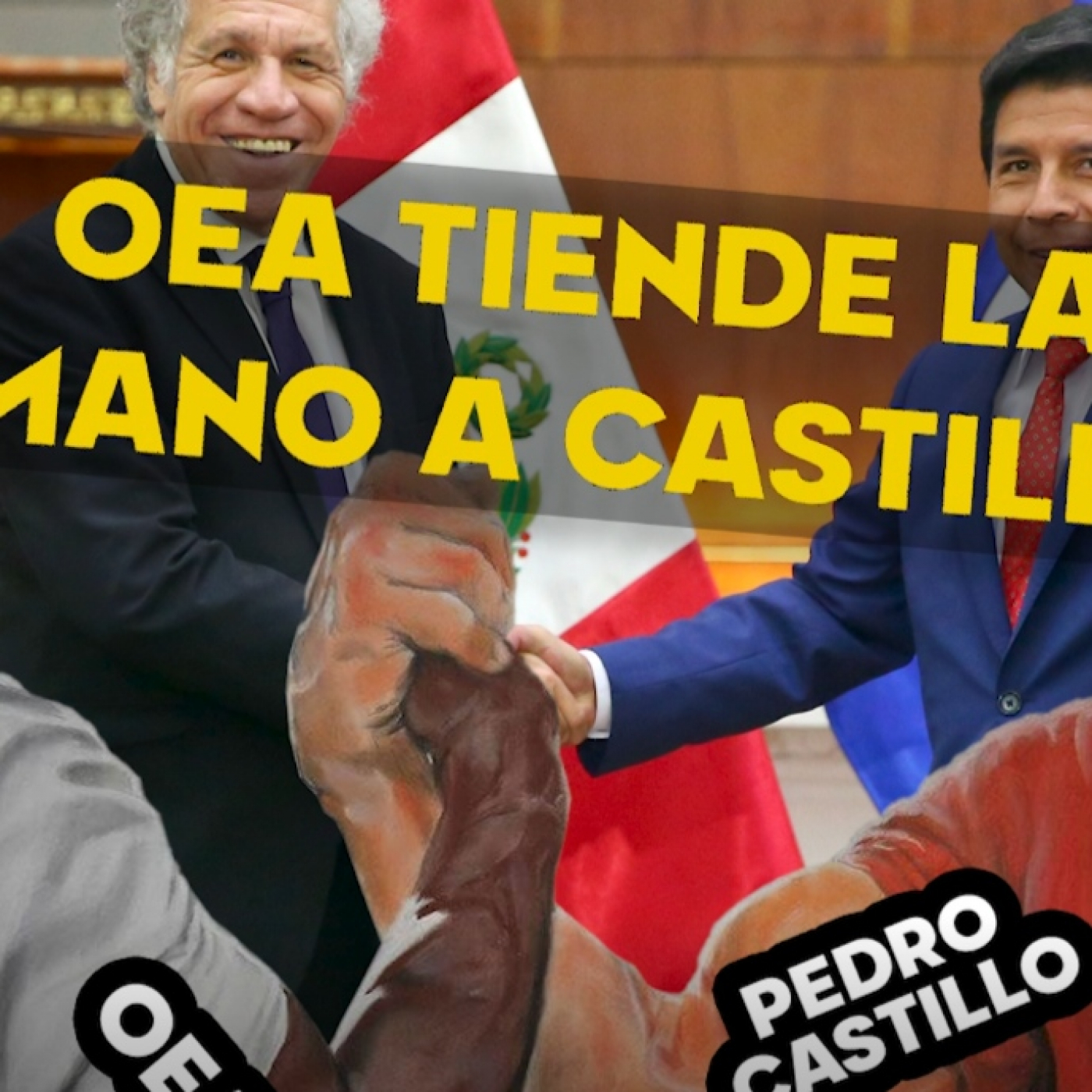 El Búho.pe