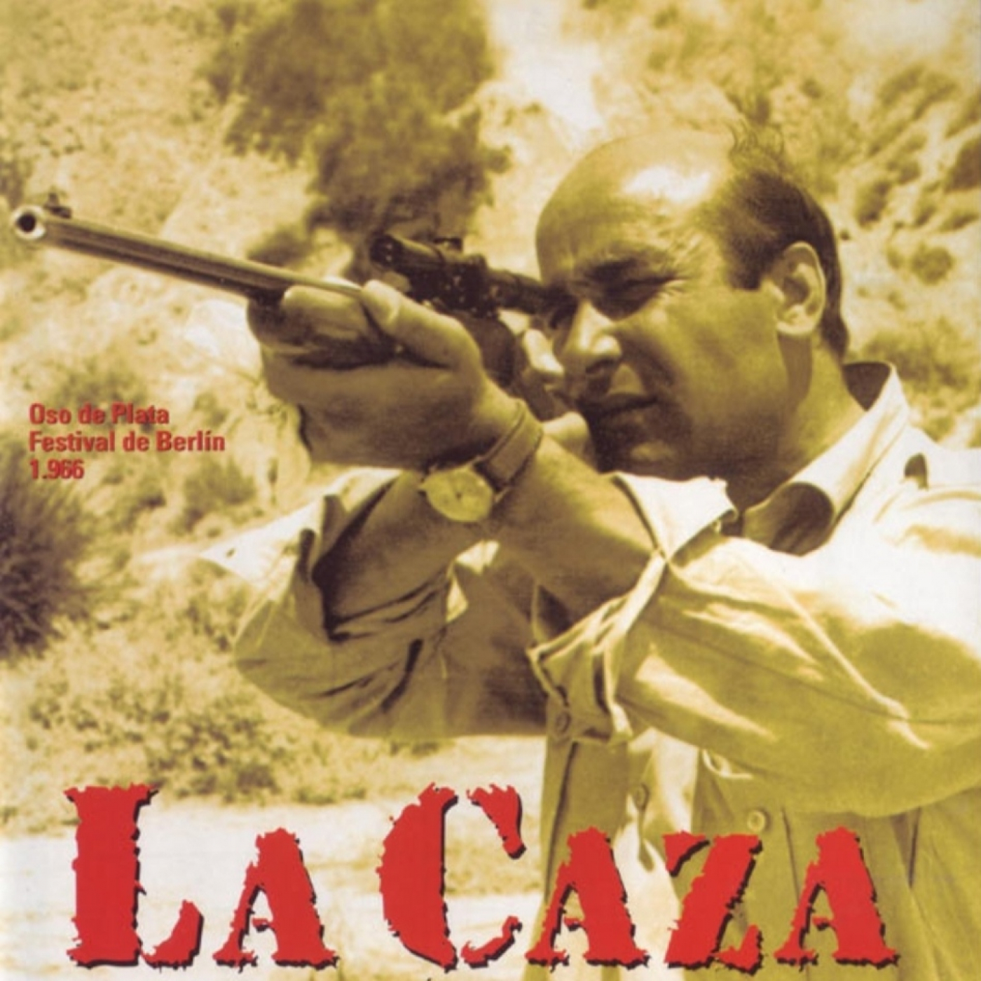 Descarriadas