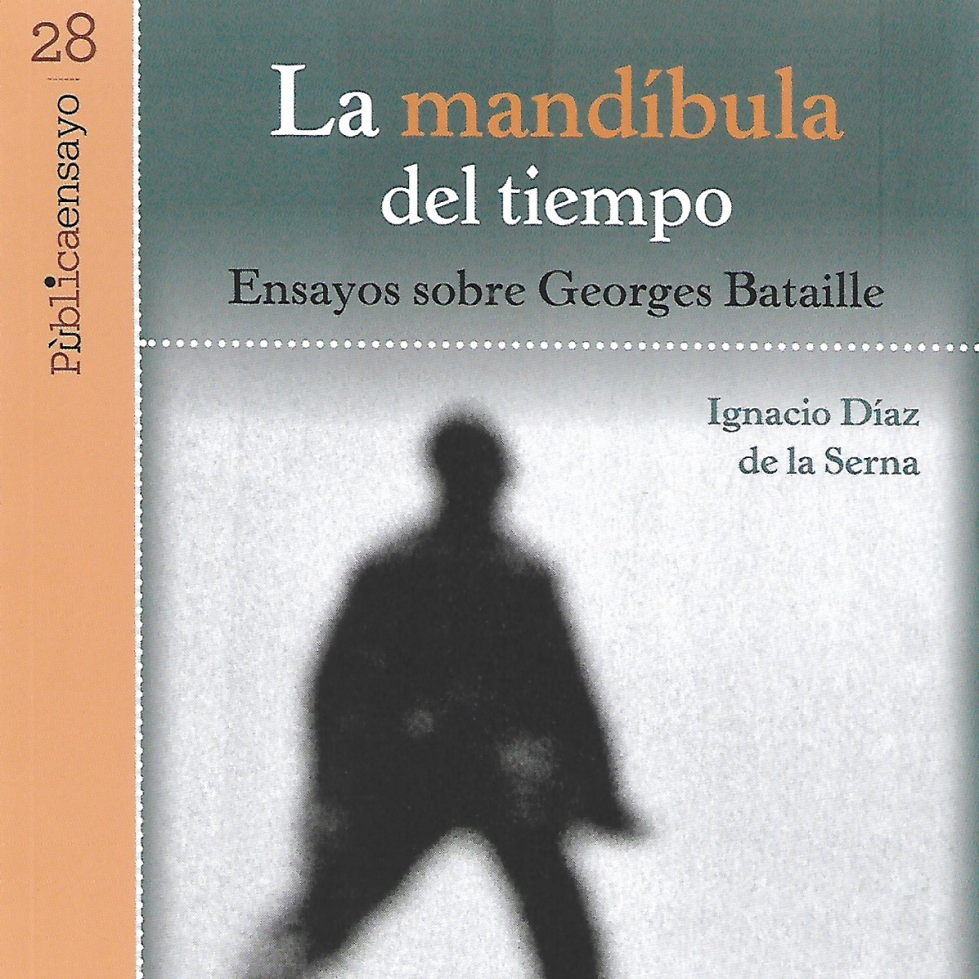 Apiedepágina IMER