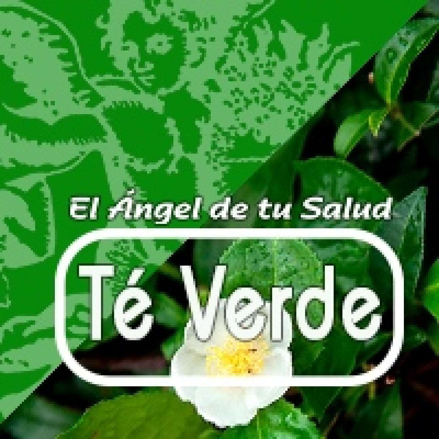 El Angel de tu Salud - TÉ VERDE**
