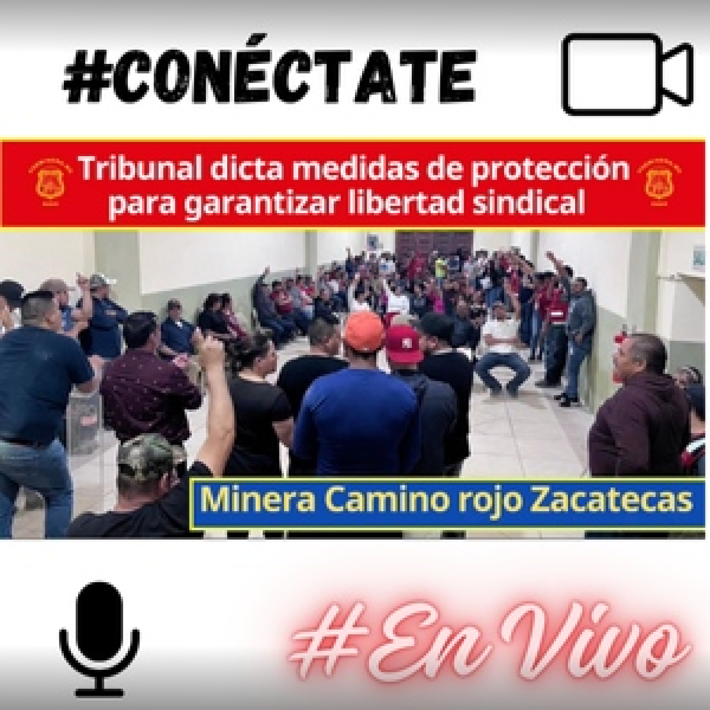 Voz Minera MX