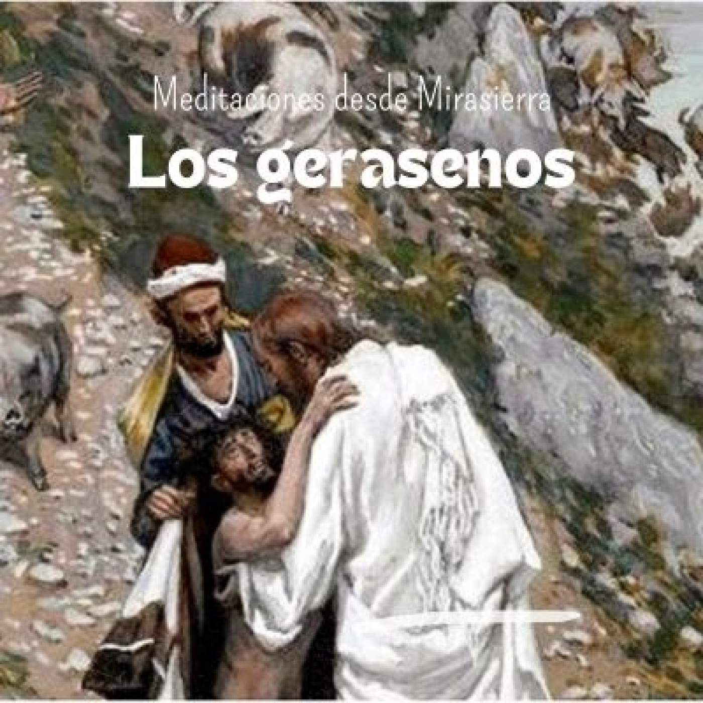 Meditaciones desde Mirasierra