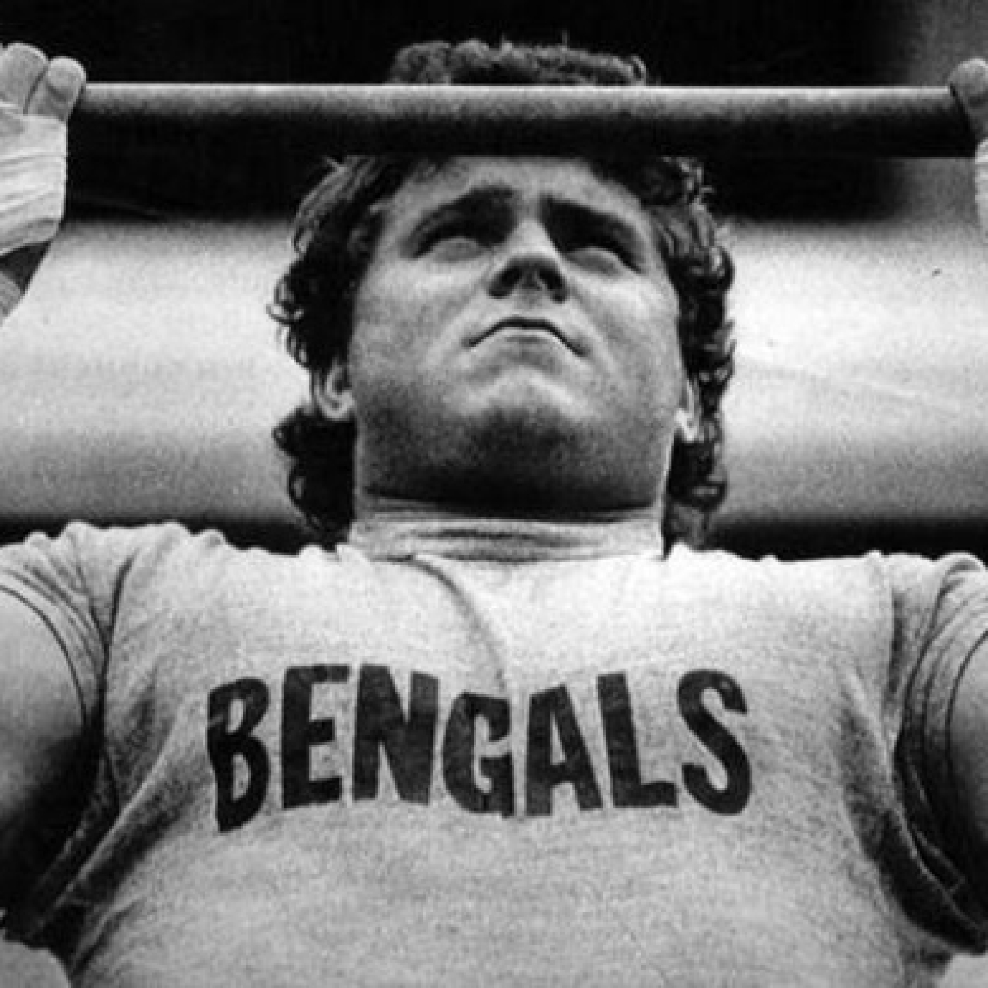 La Jungla Hispana - Bengals.es