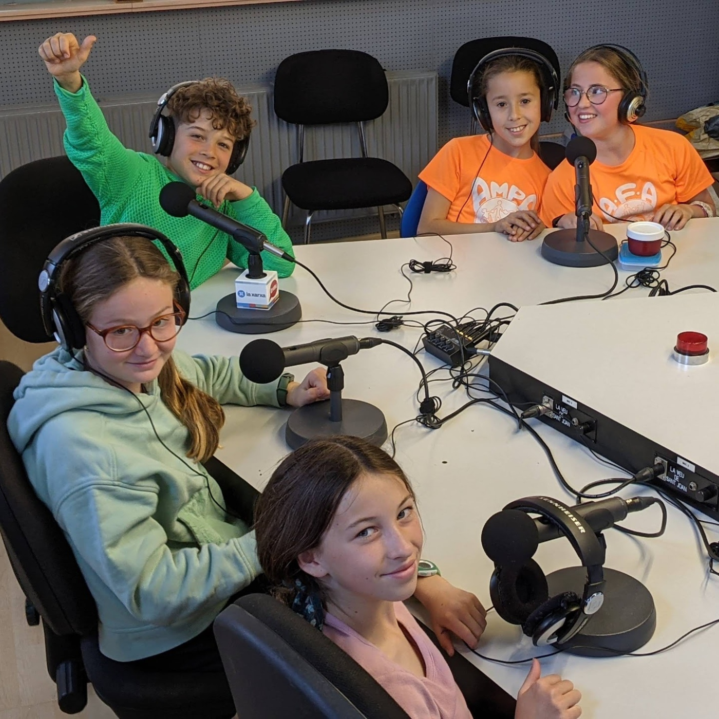 Roll-up, joc i intercanvi: El Consistori Juvenil ens explica les activitats que han preparat per Sant Jordi episode artwork