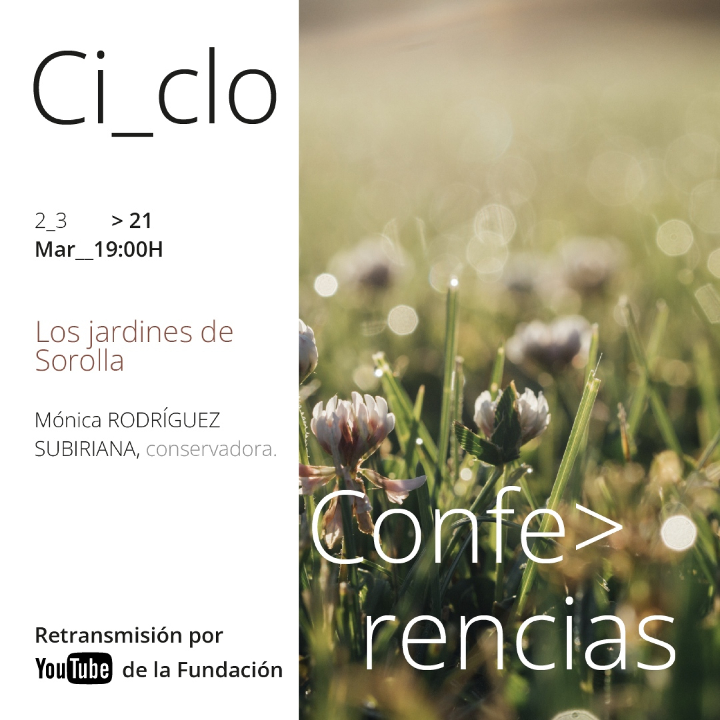 Conferencias