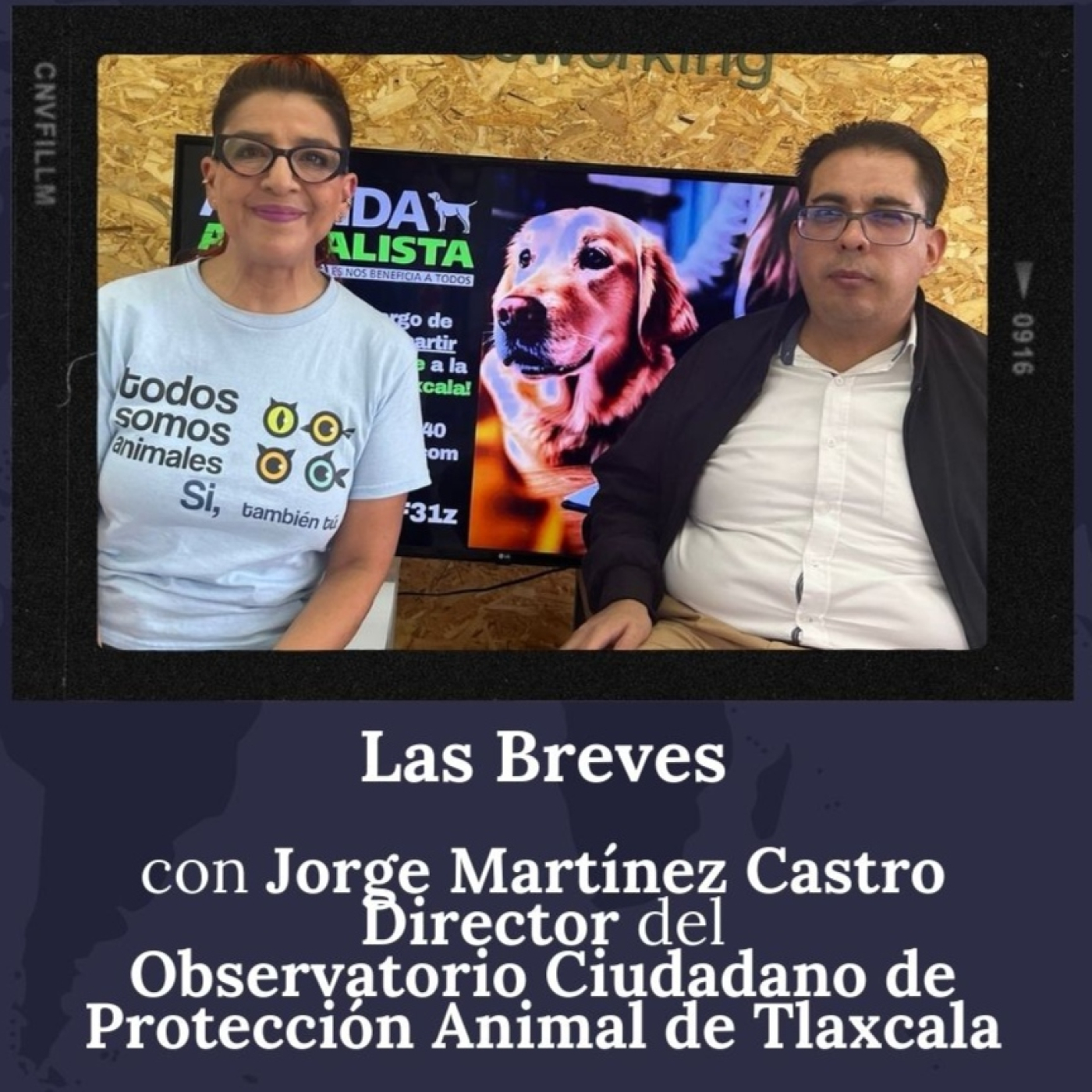 Todos Somos Animales News