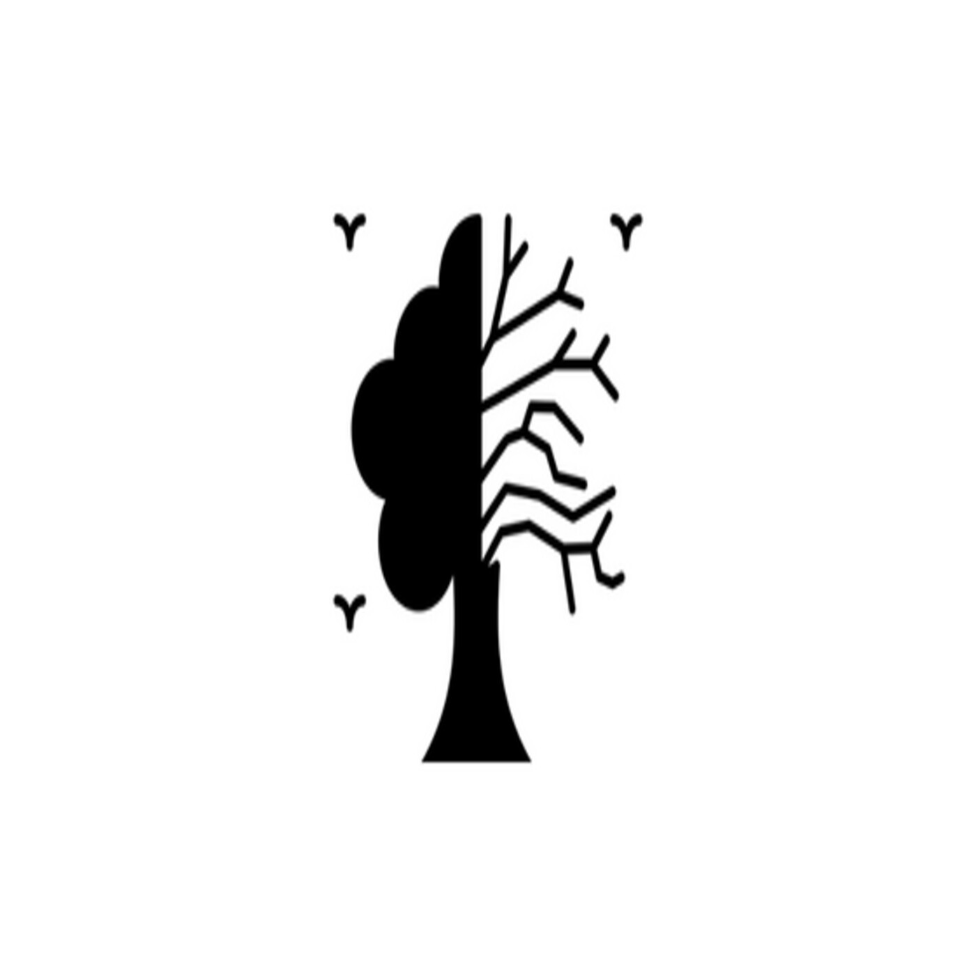 Nuevos comienzos: cómo superar una crisis y reinventar nuestro programa – 2×24