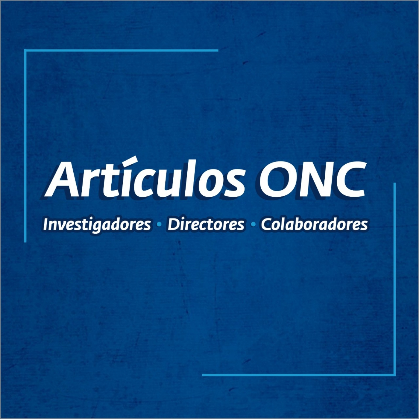 Observatorio Nacional Ciudadano