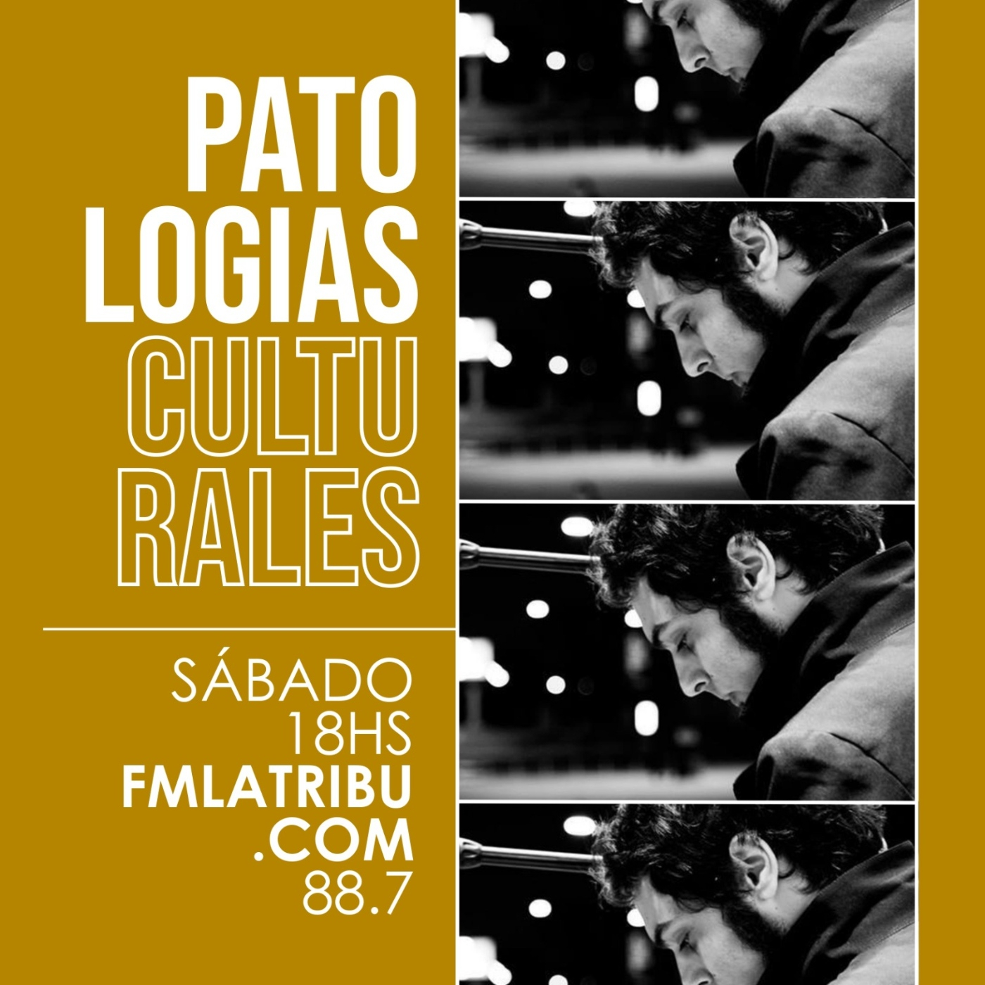 Patologías Culturales
