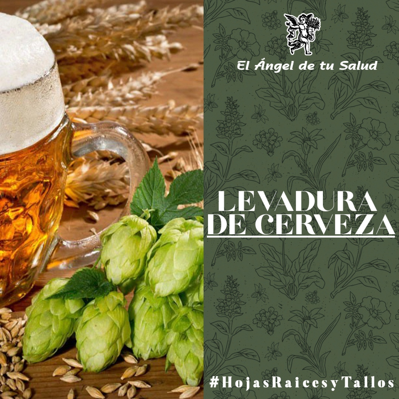 El Ángel de tu Salud - Levadura de Cerveza** episode artwork