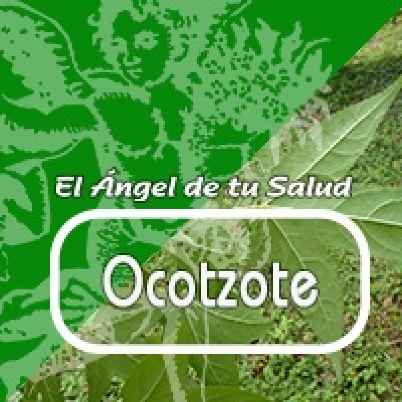 El Ángel de tu Salud -OCOTZOTE episode artwork