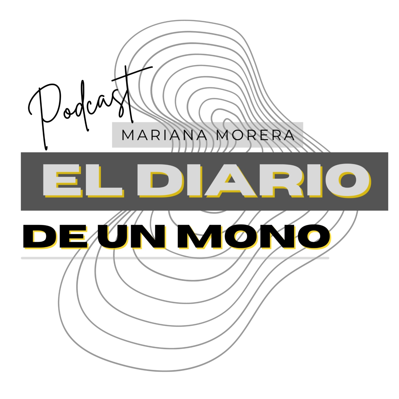 El Diario de un artista