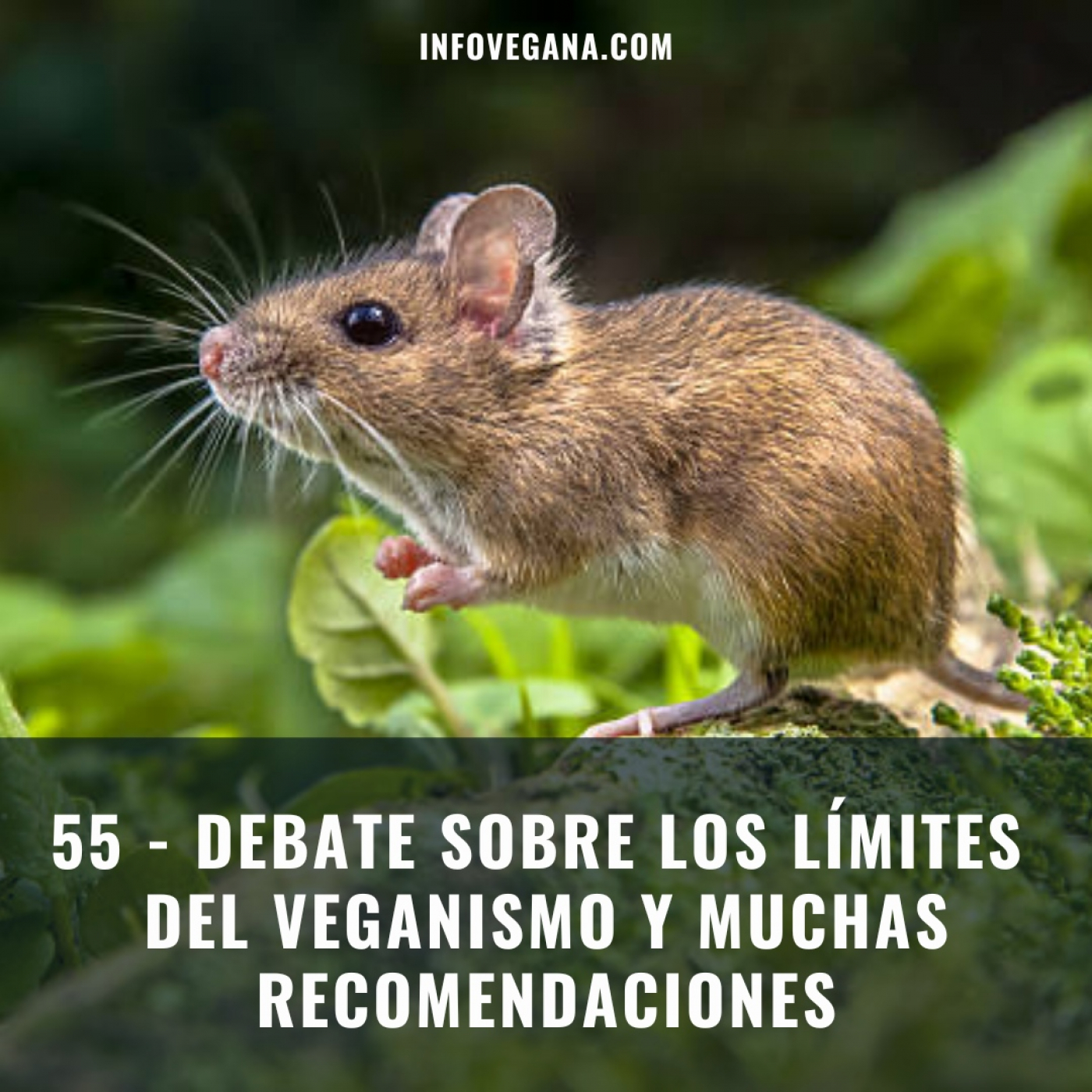 Infovegana, podcast de veganismo y sostenibilidad