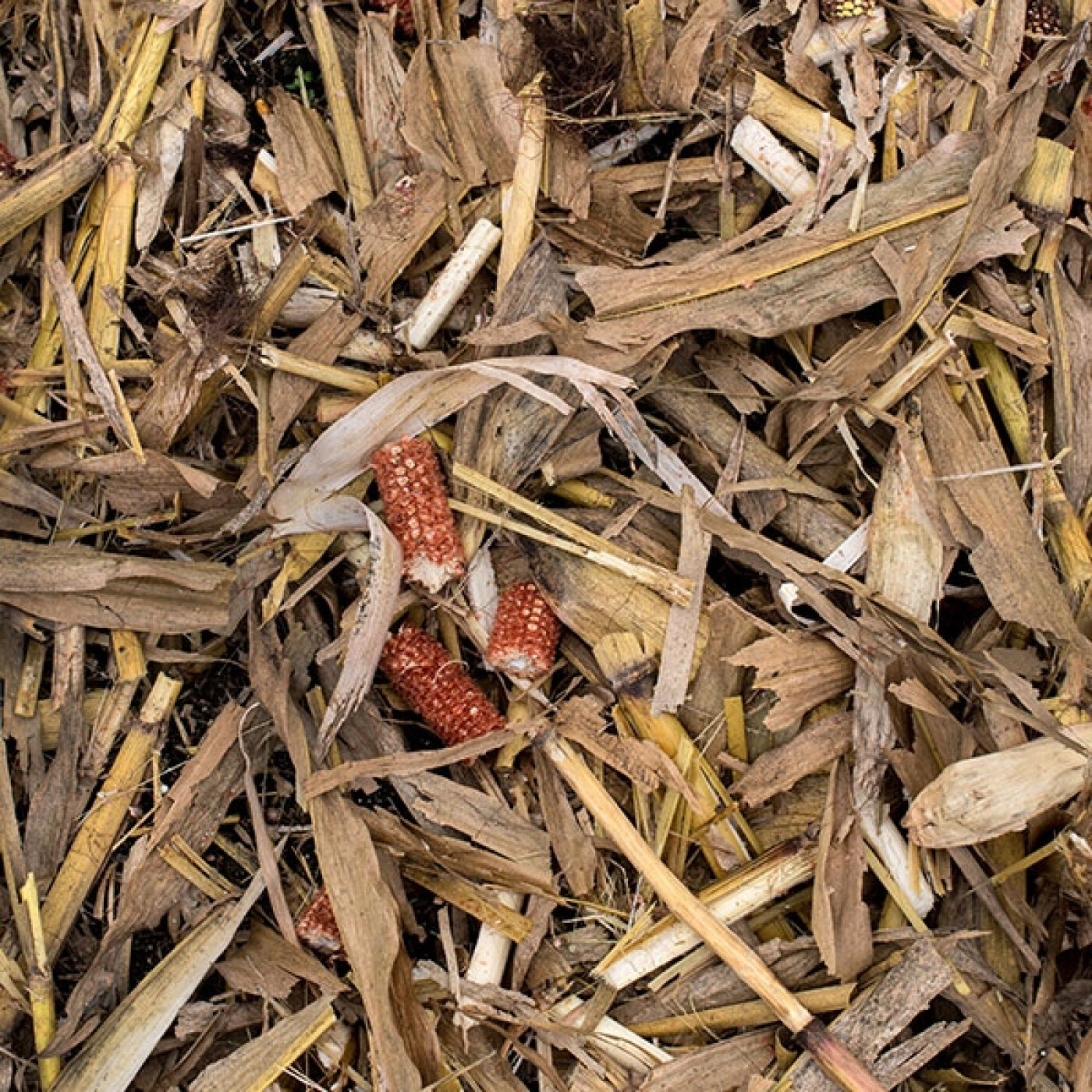 CIRCULO VERDE PODCAST