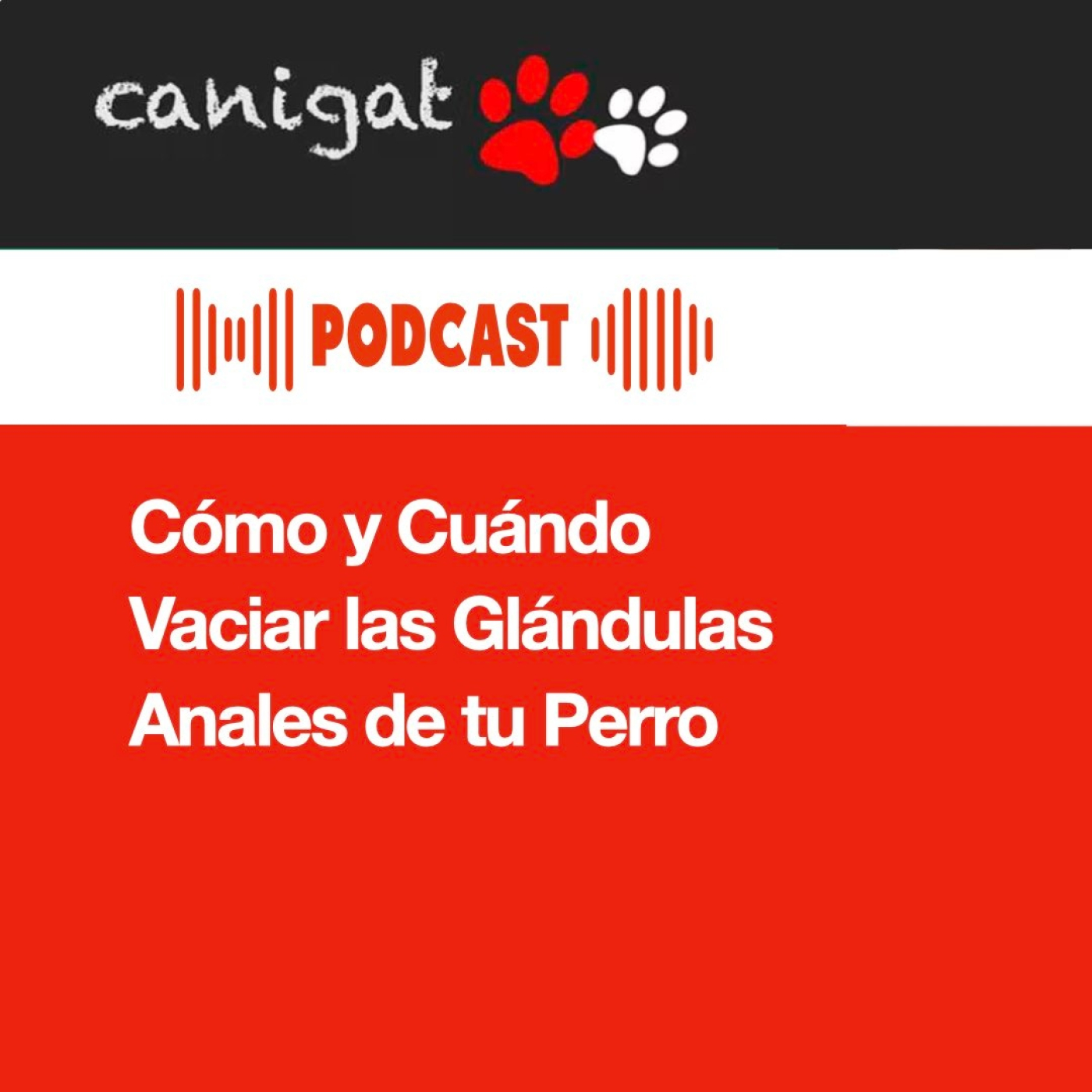 Consejos veterinarios de perros y gatos by canigat