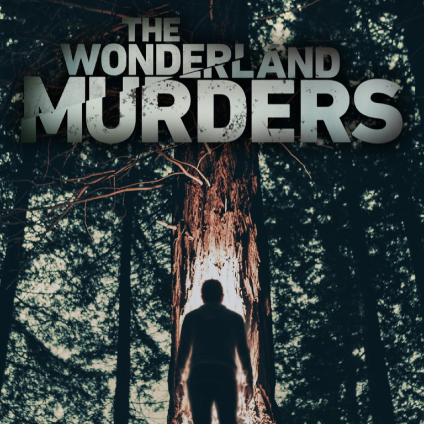 Asesinatos en Wonderland T1: Secretos en la niebla · Nunca Lo Vio Venir