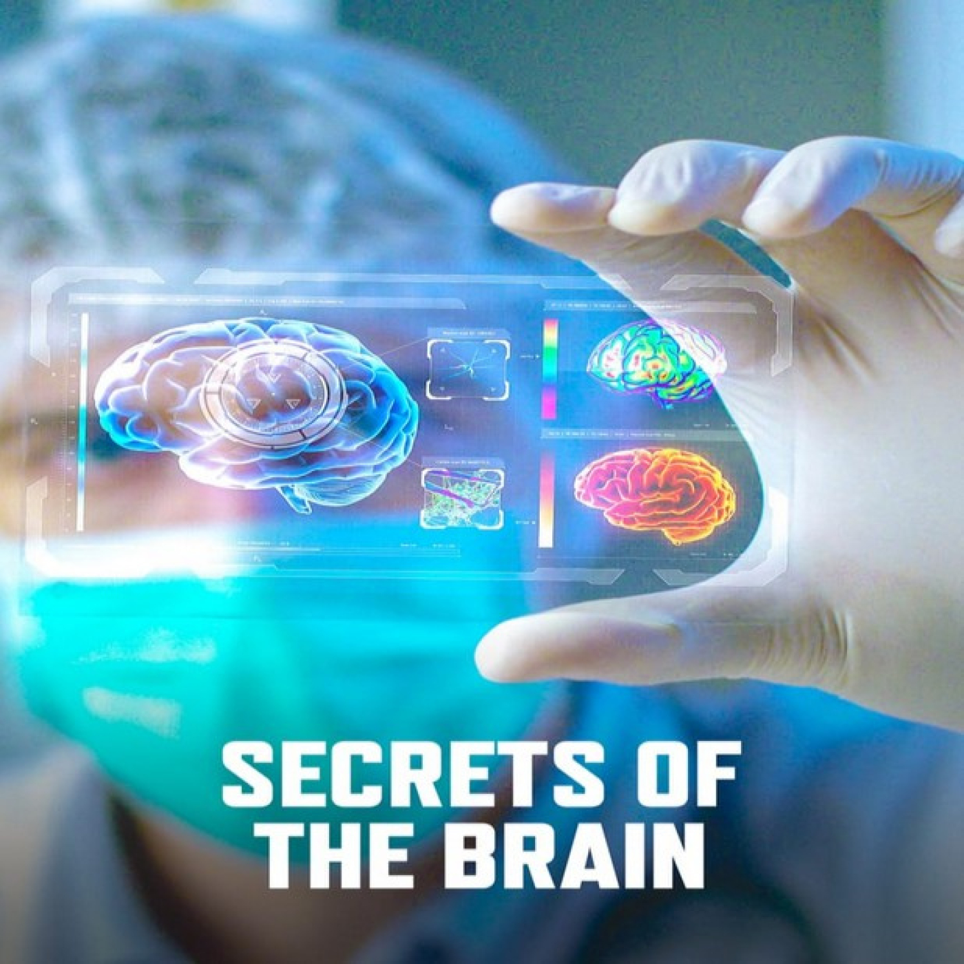 Los secretos del cerebro T2: Mentira · Riesgo