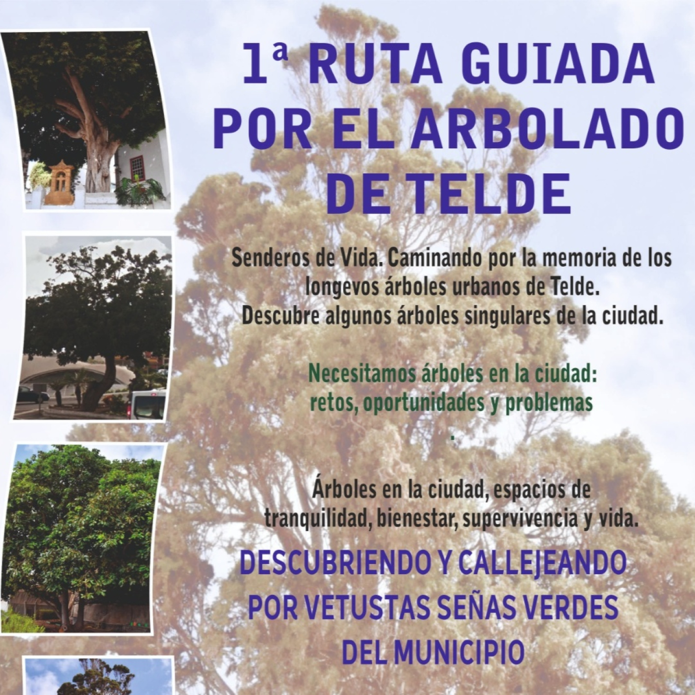 ARCHIPIÉLAGO DIRECTO