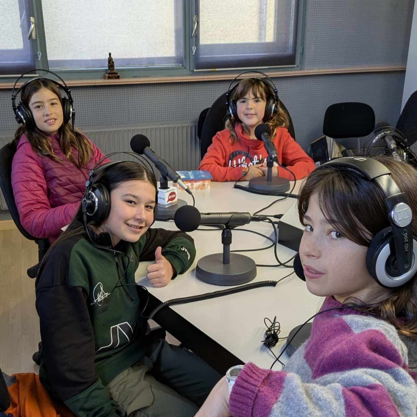 Alumnat de 6è de Primària ens expliquen com va anar la seva castanyada episode artwork