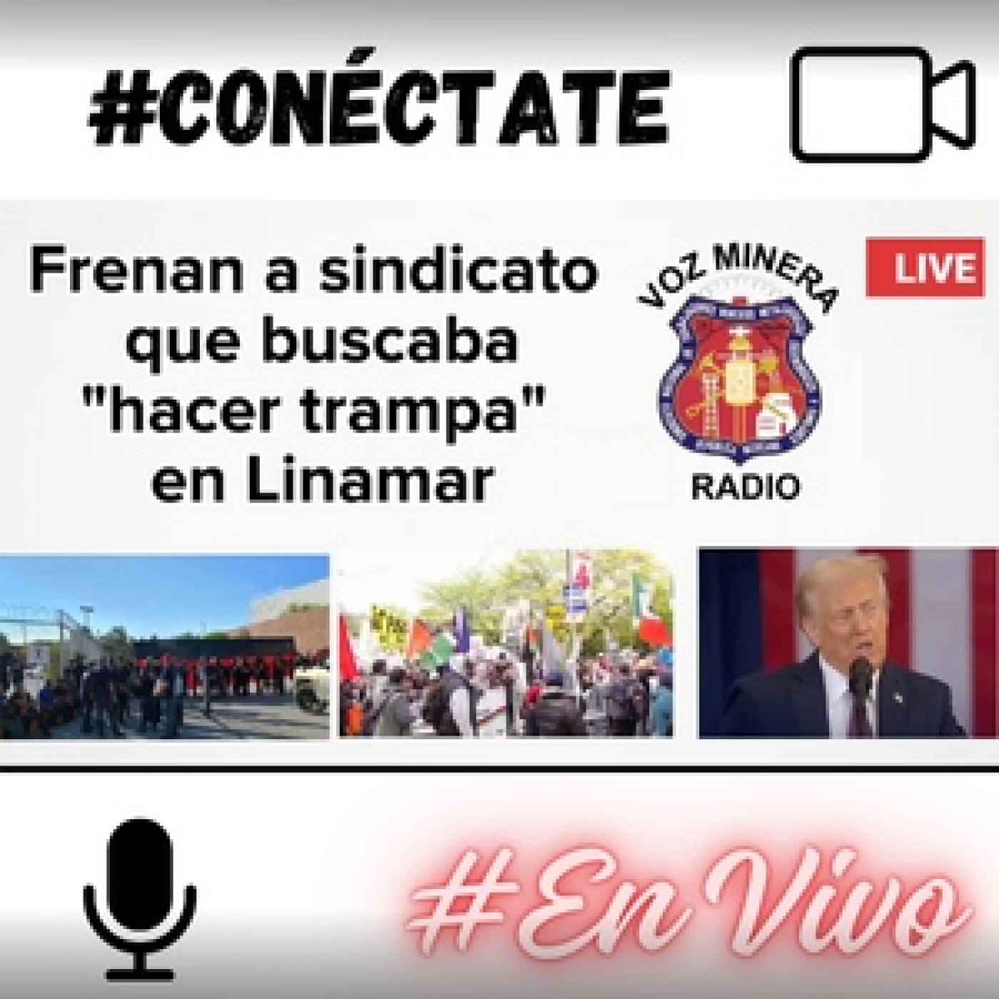 Voz Minera MX
