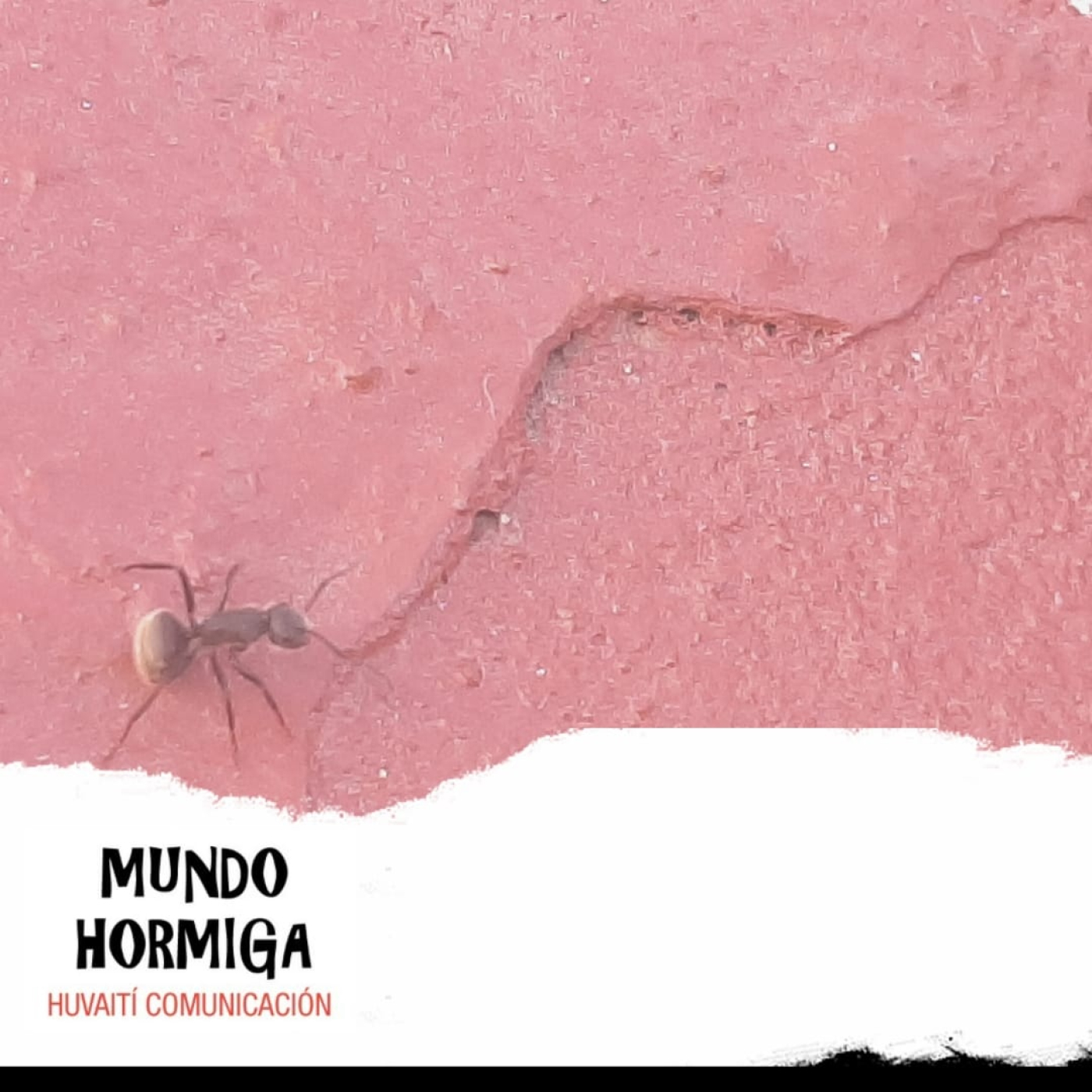 Mundo Hormiga 19 de Marzo de 2023 episode artwork