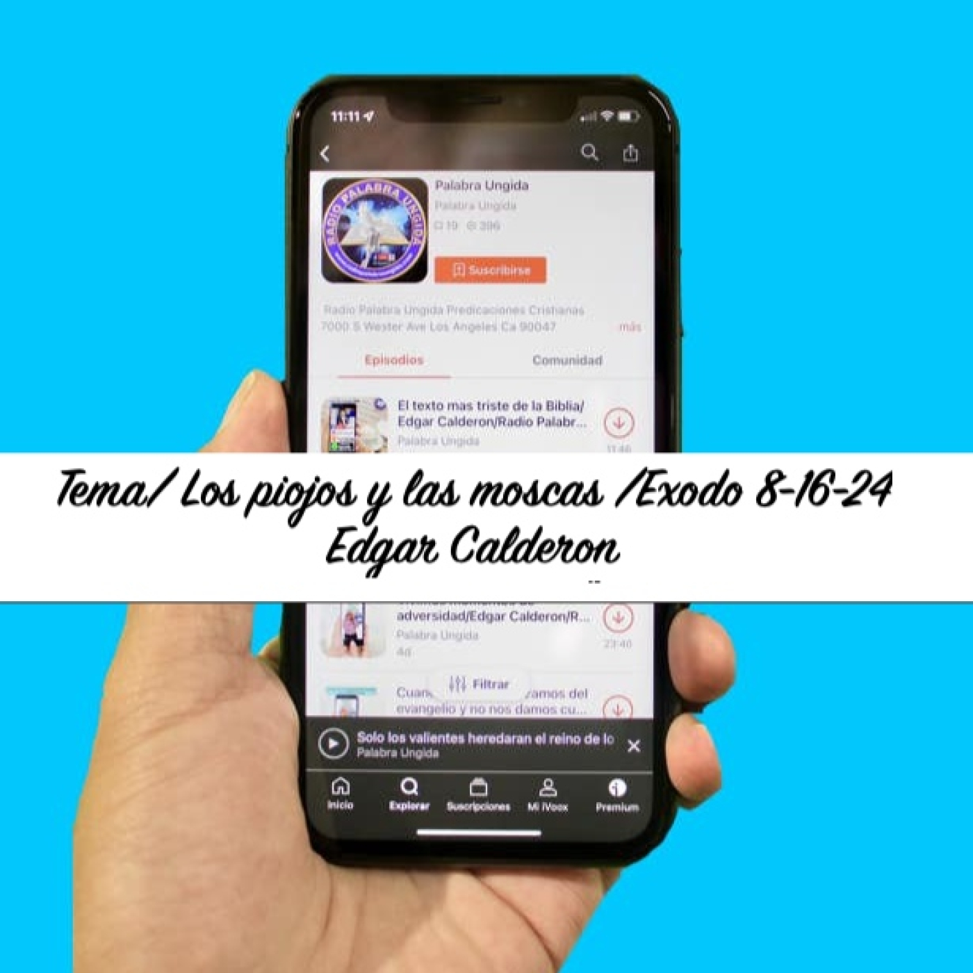 Tema/ Los piojos y las moscas /Exodo 8-16-24/Edgar Calderon episode artwork