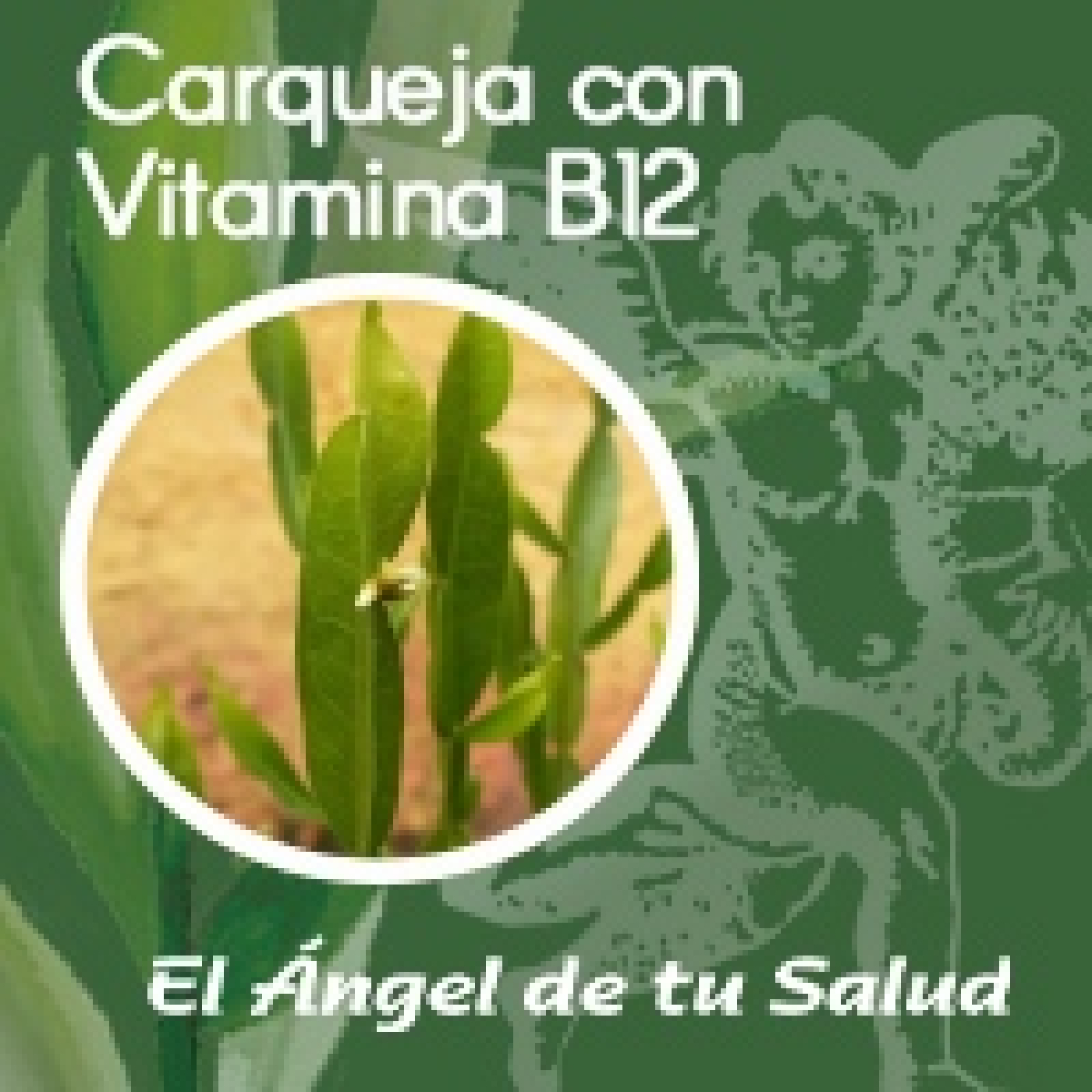 El Ángel de tu Salud - Carqueja con Vitamina B12 ** episode artwork