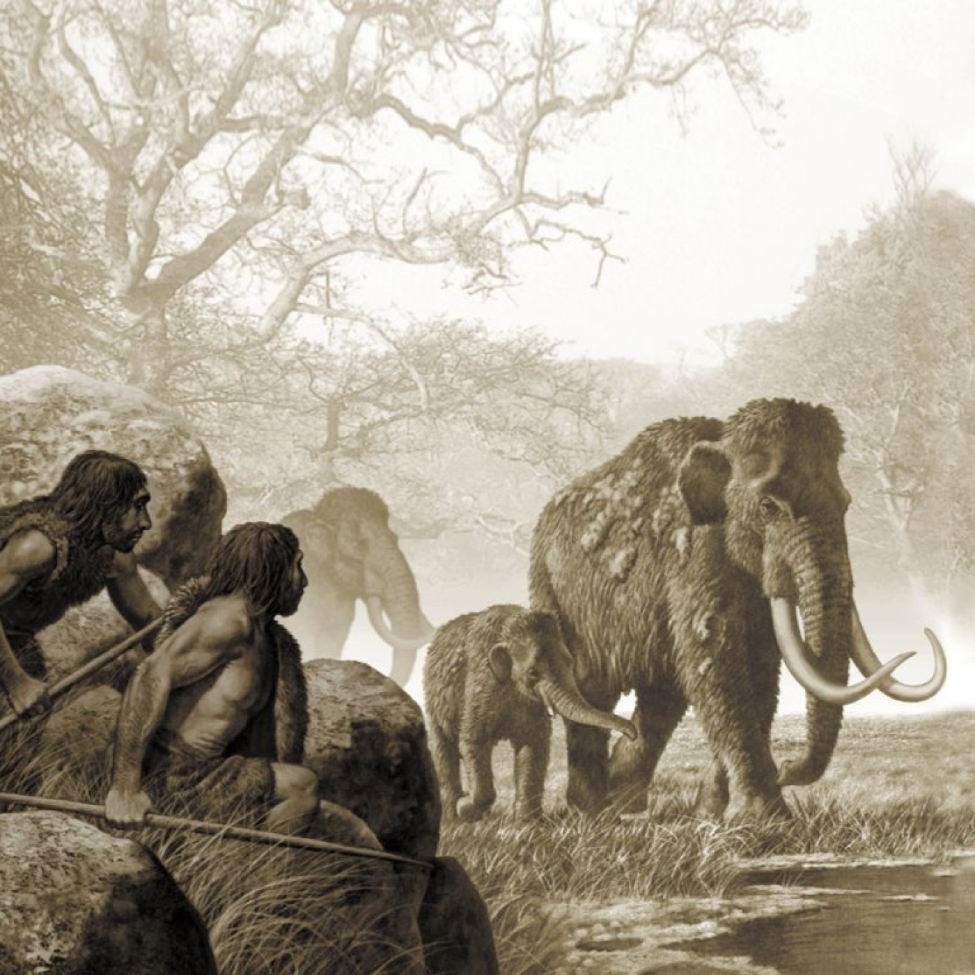 1647 - Paleoantropología: La Saga Neandertal 2